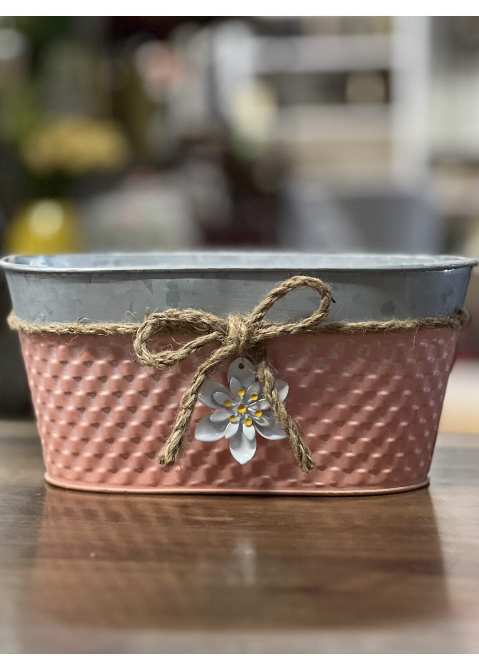 Coral  Oval Planter