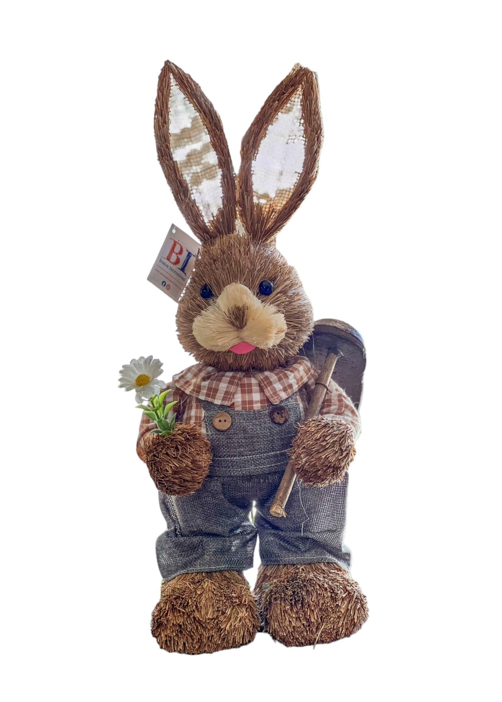 Francis & Fanny Farmer Bunny set