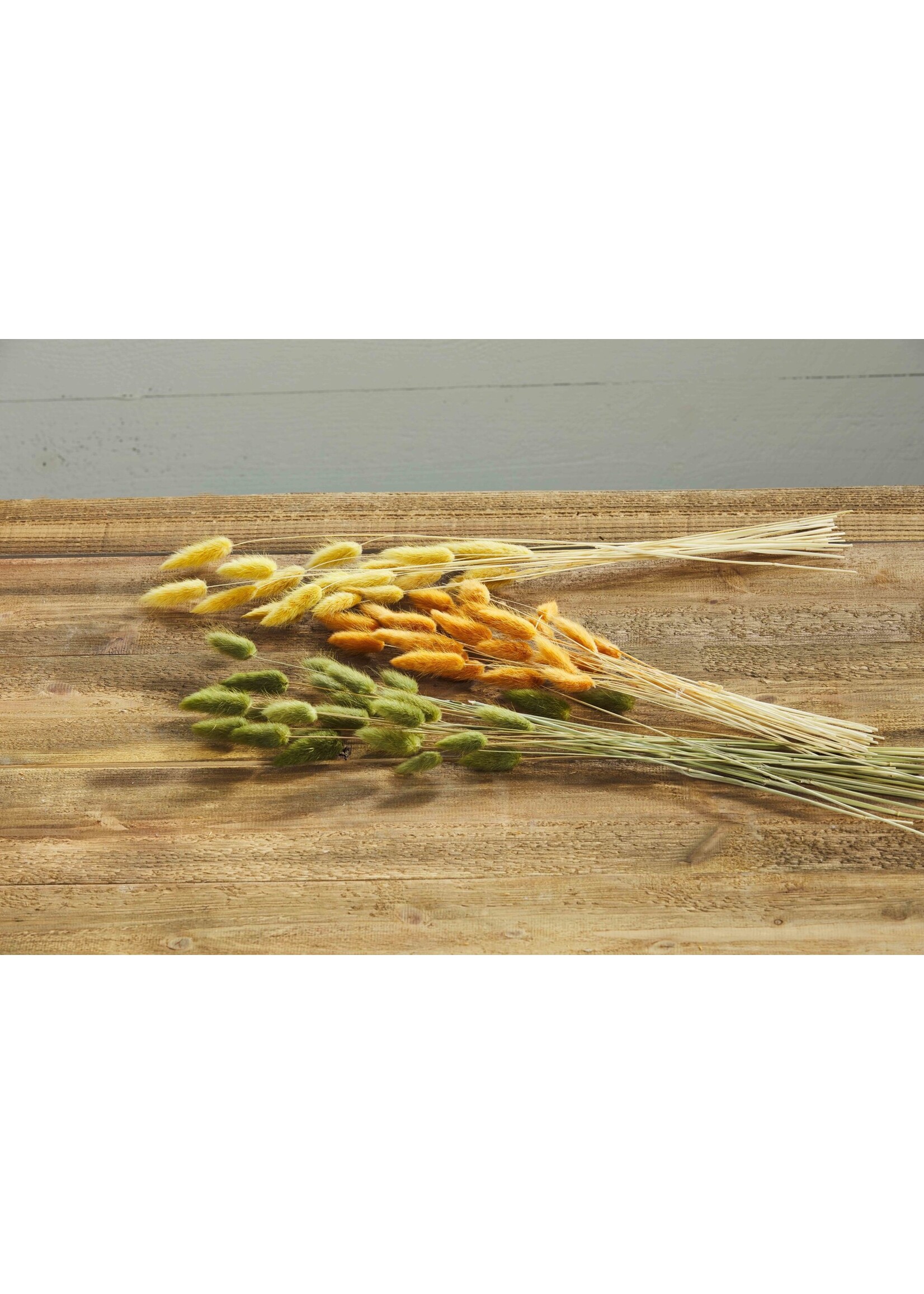 Mud Pie Preserved Bunny Tails - Gold