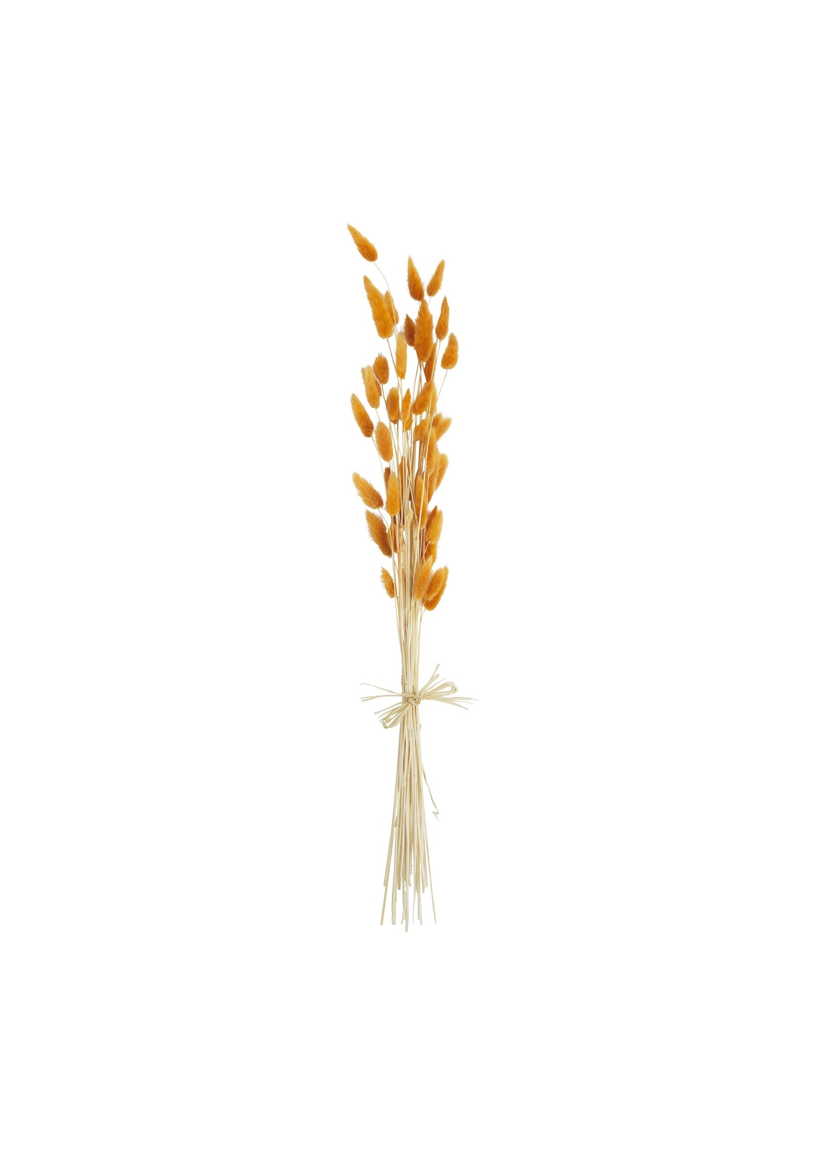Mud Pie Preserved Bunny Tails - Orange