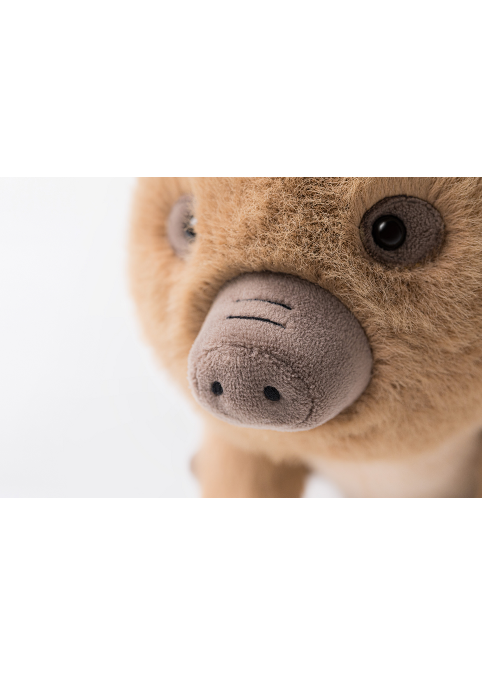 Jelly Cat Swinly Boar