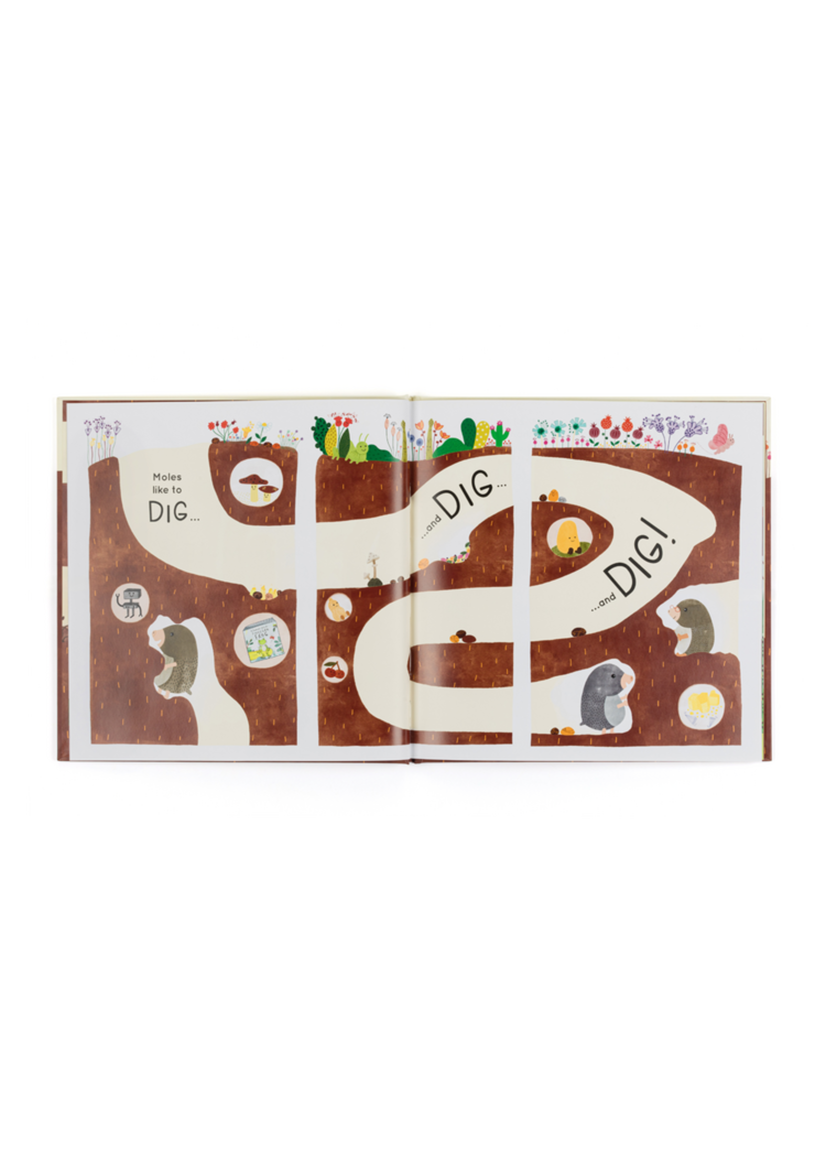 Jelly Cat Muswell Mole & the Buried Treasure Book