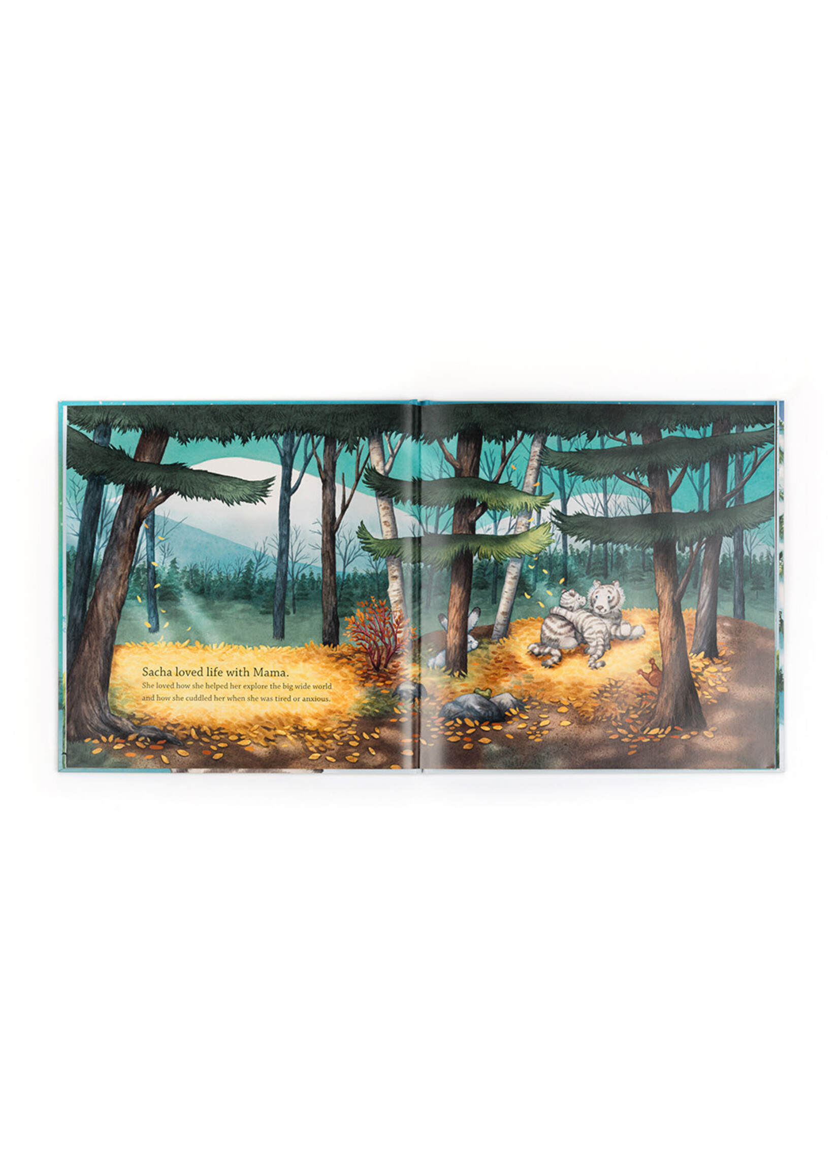 Jelly Cat Sacha and the Most Wonderful Things Book