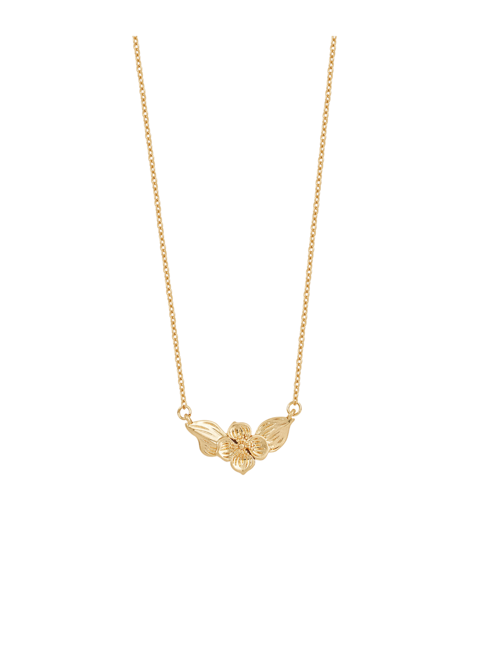 Fable England Poppy Anemone Gold Chain Necklace