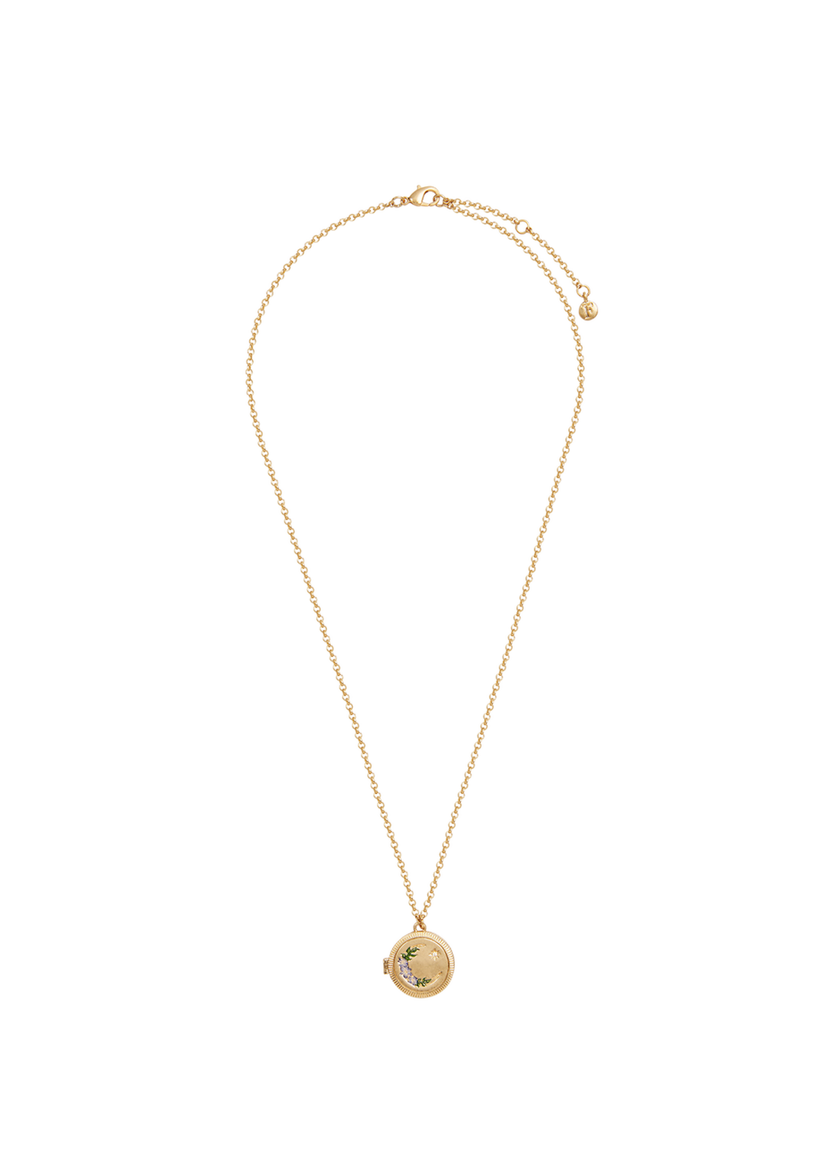 Fable England Nightshade Moon Round Gold Locket Chain Necklace