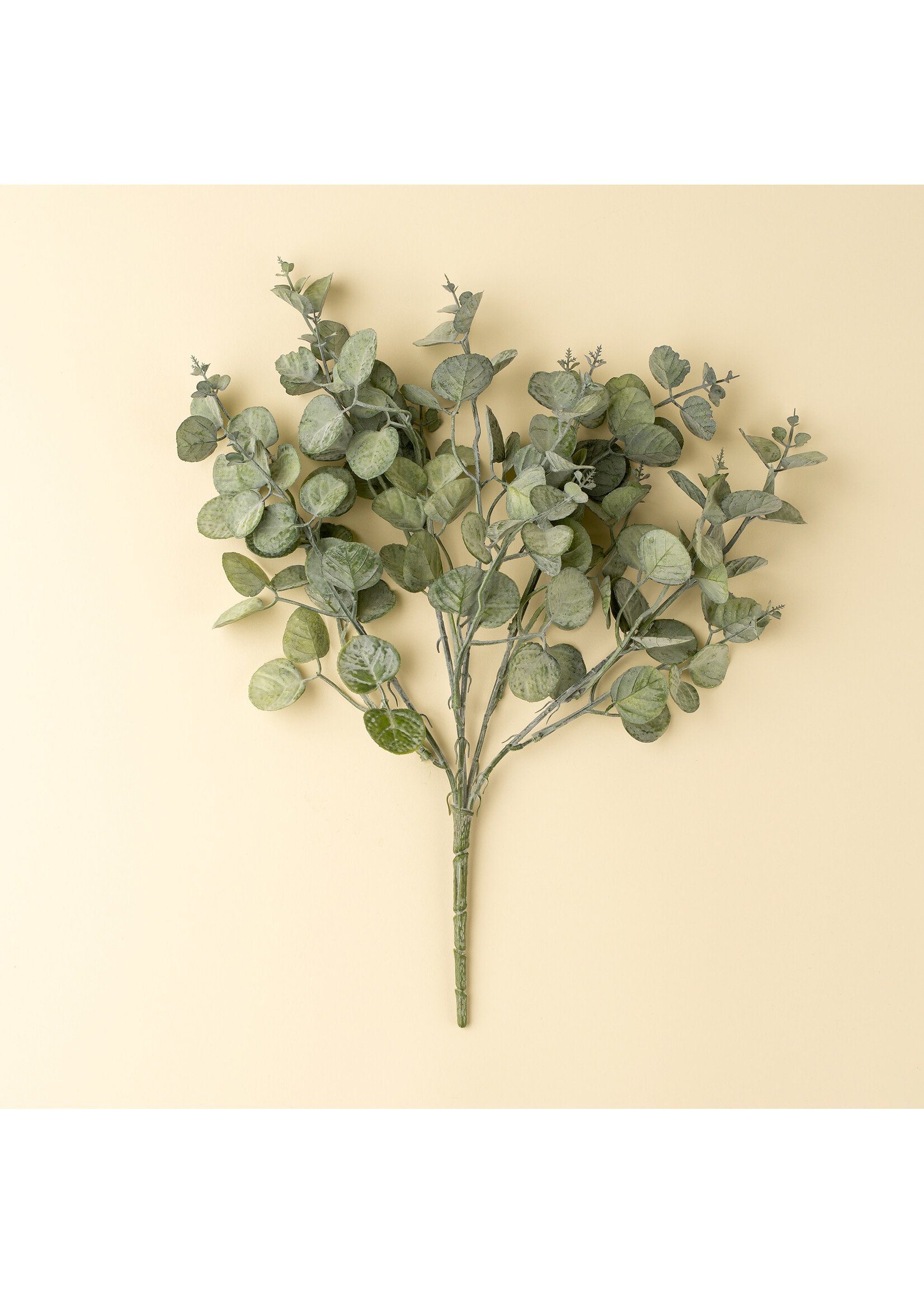 Indaba Eucalyptus Spray, Green