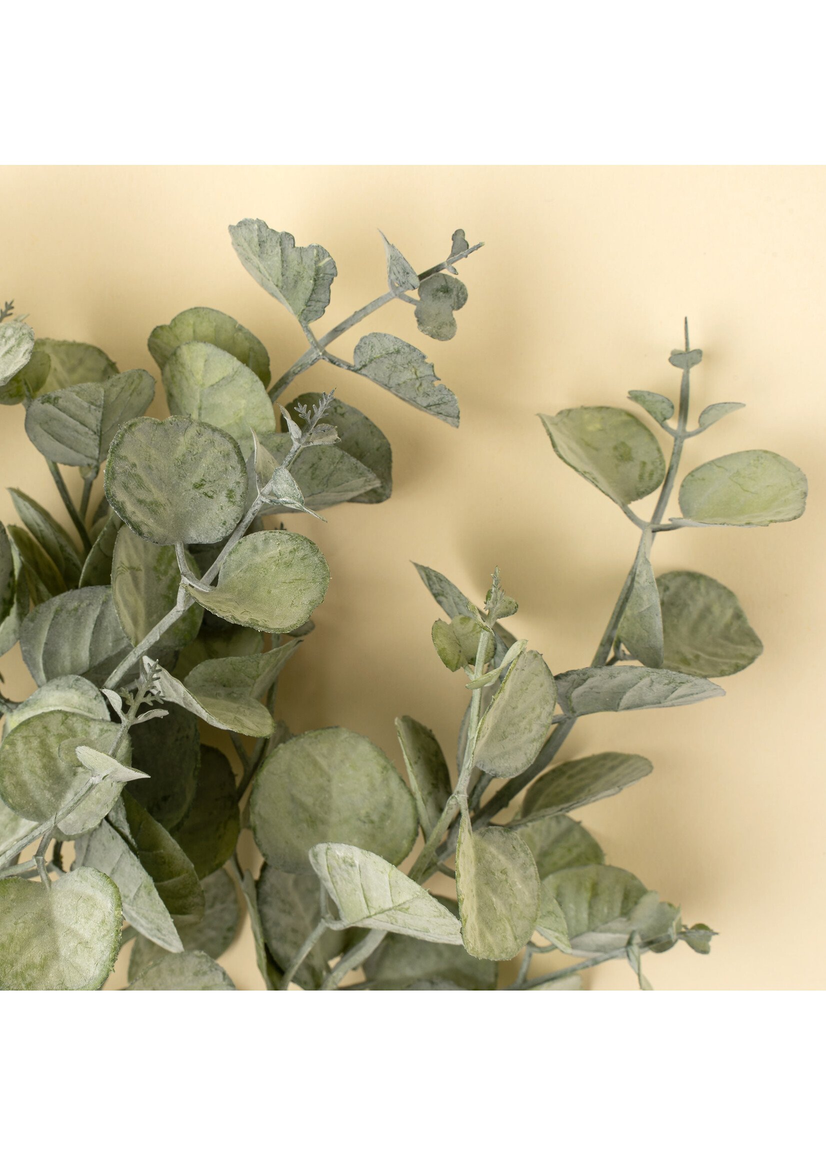 Indaba Eucalyptus Spray, Green