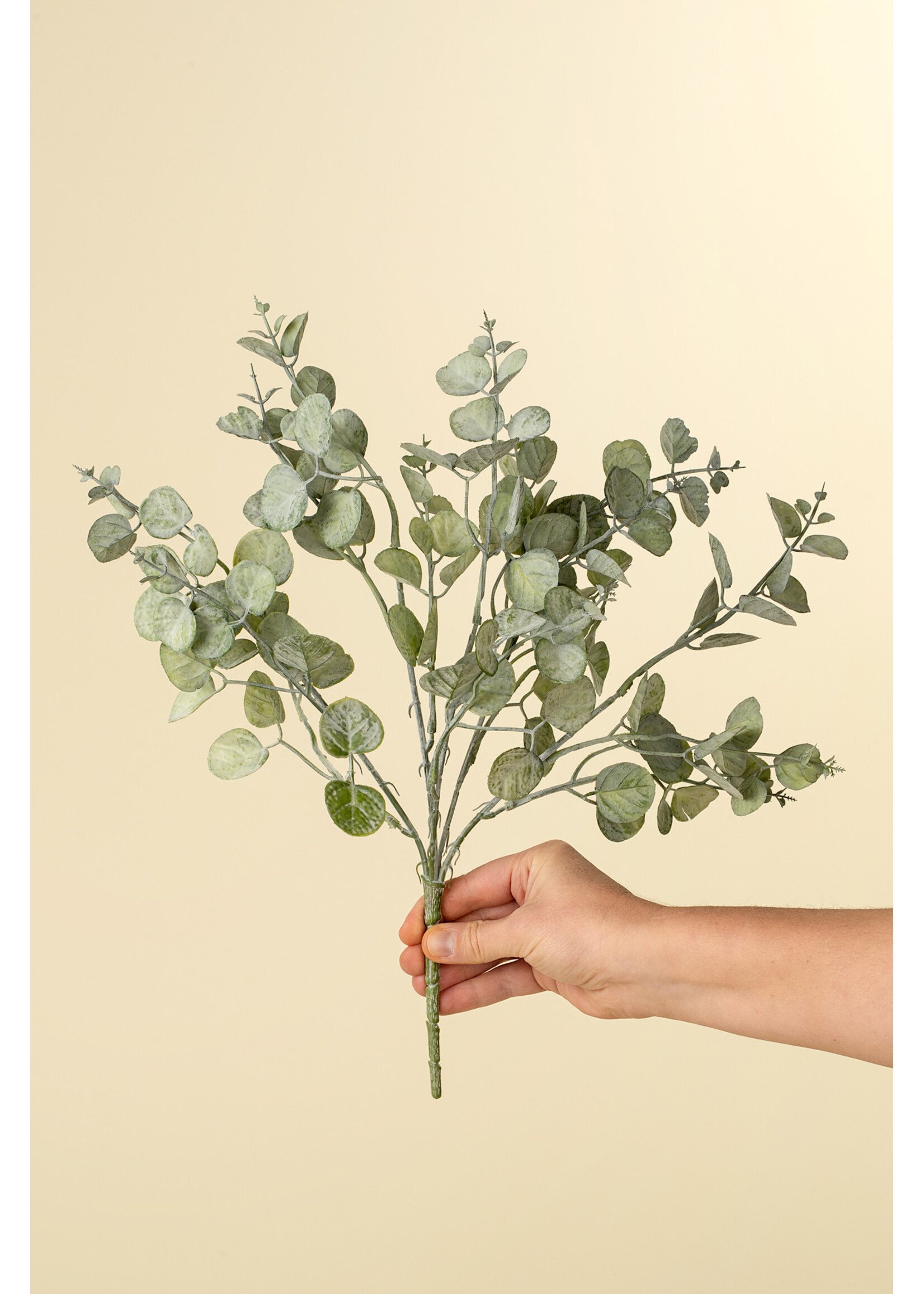 Indaba Eucalyptus Spray, Green