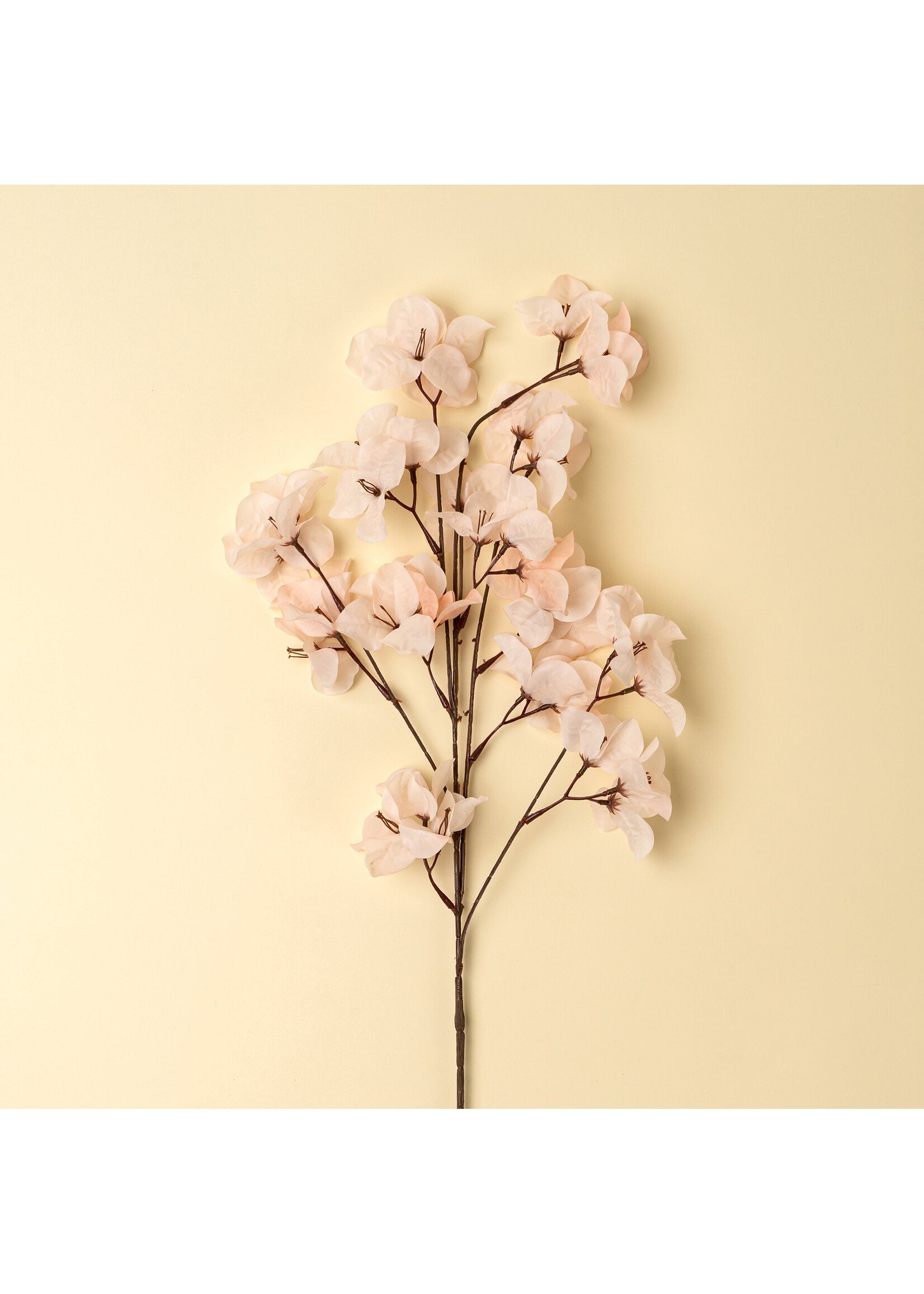 Indaba Bougainvillea Spray, Light Pink