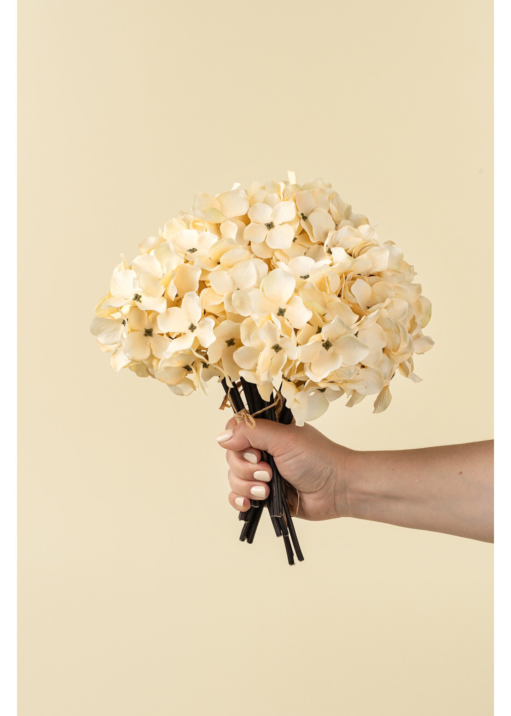 Indaba Hydrangea Bouquet, Cream