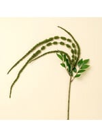 Indaba Green Amaranthe Stem