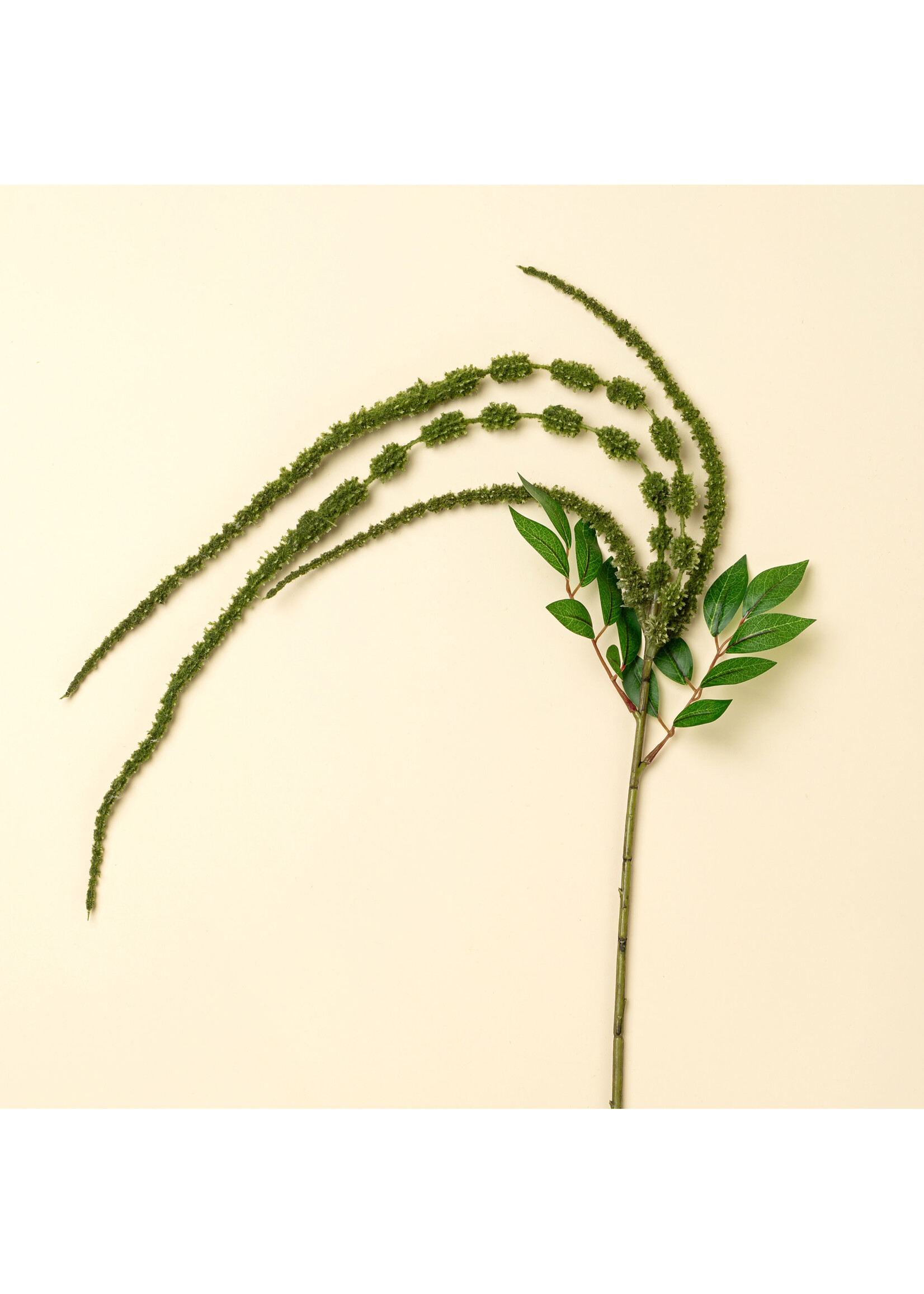 Indaba Green Amaranthe Stem