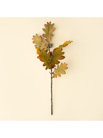 Indaba Oak Leaf Spray
