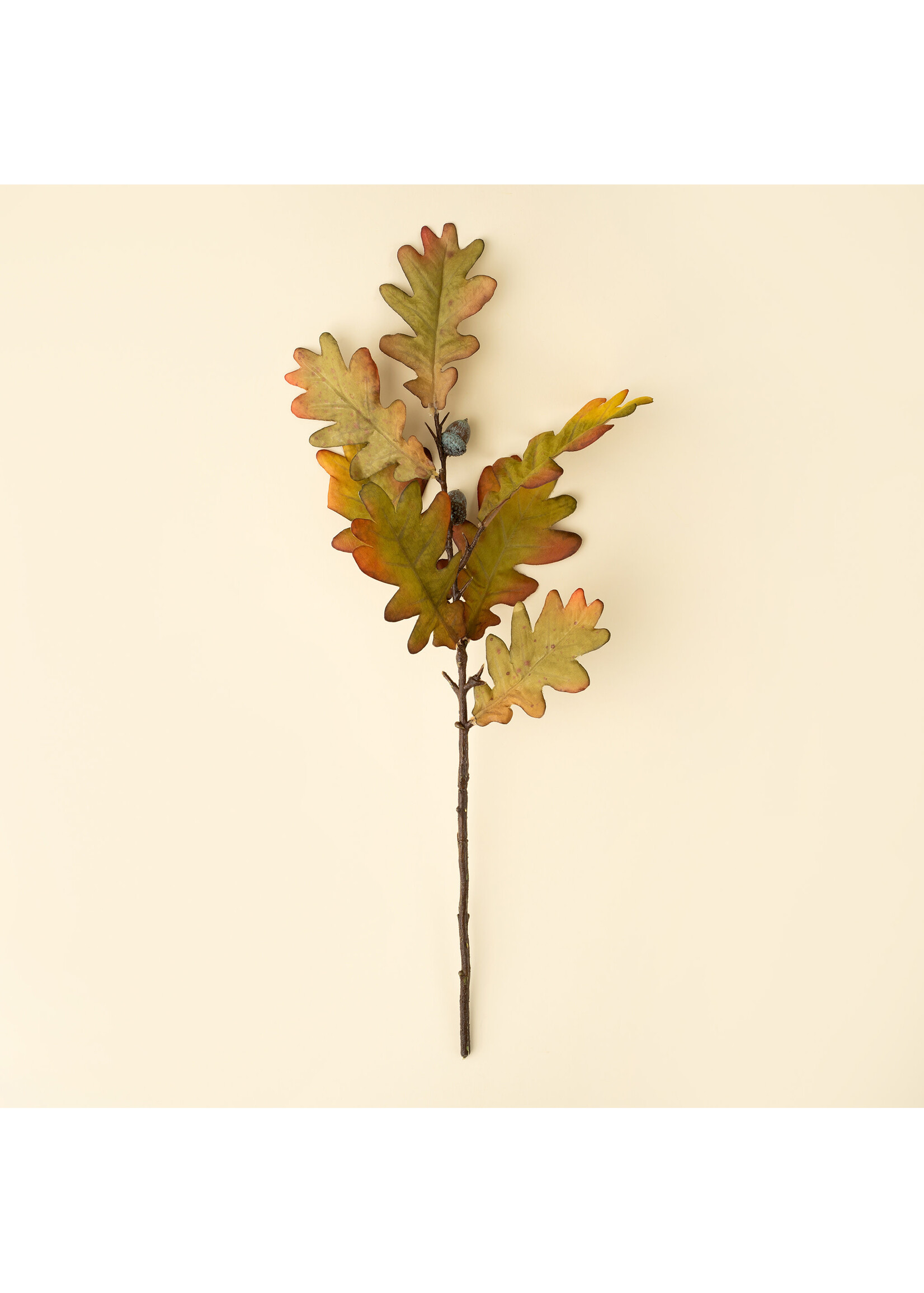 Indaba Oak Leaf Spray