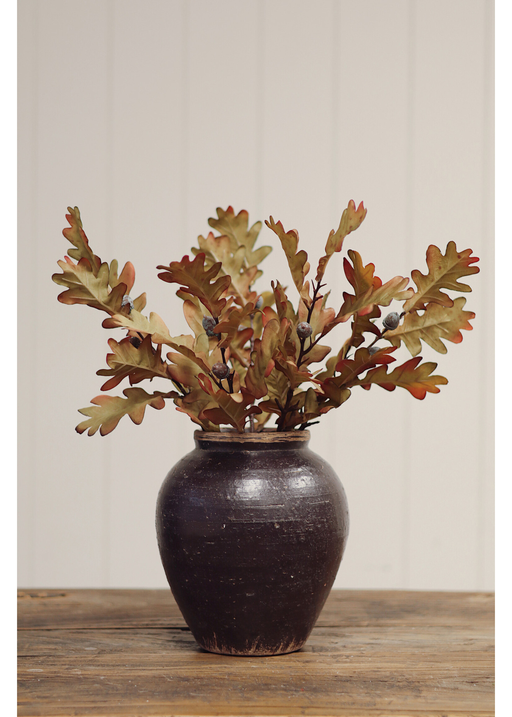 Indaba Oak Leaf Spray