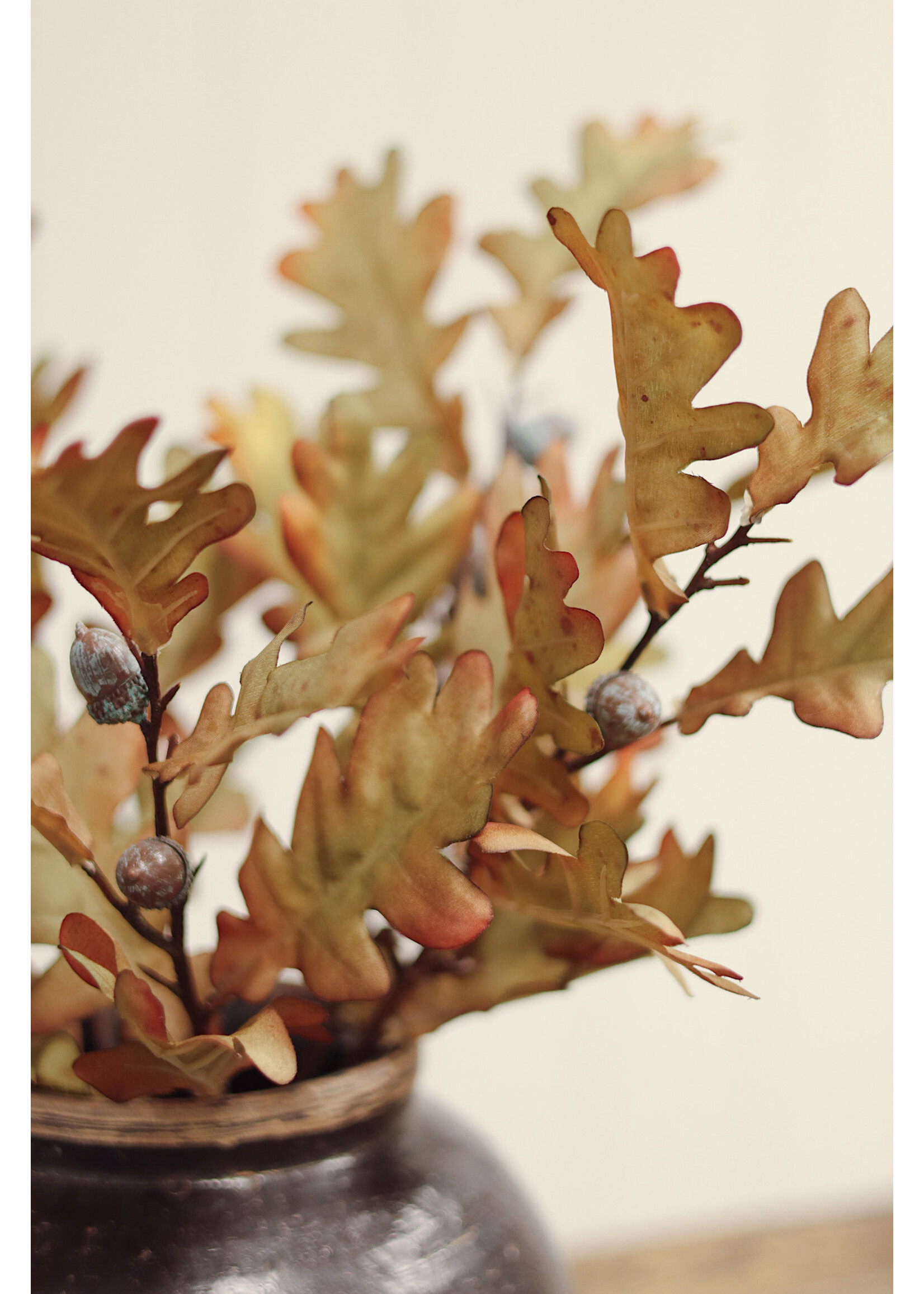 Indaba Oak Leaf Spray
