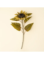 Indaba Harvest Sunflower Stem