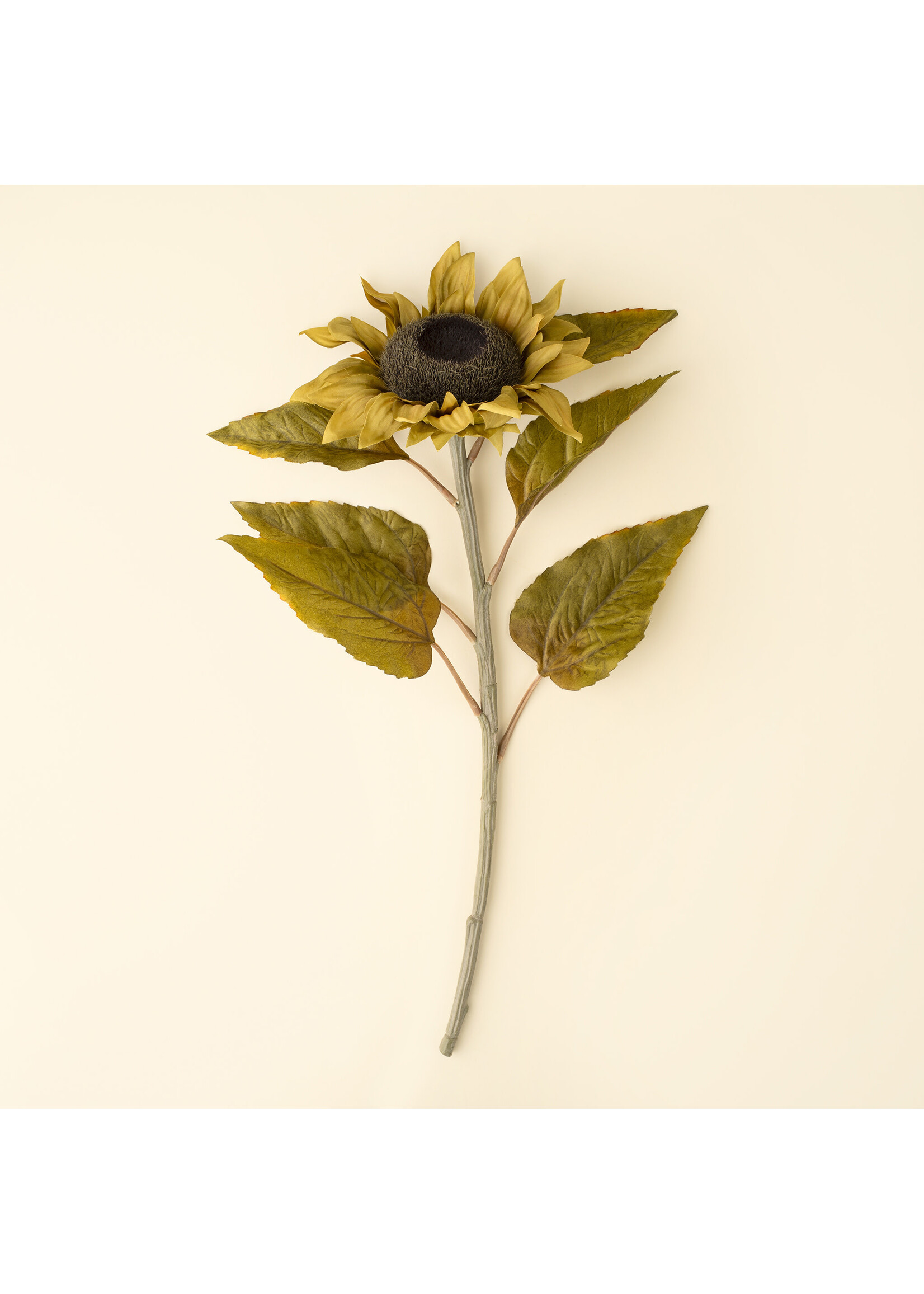 Indaba Harvest Sunflower Stem