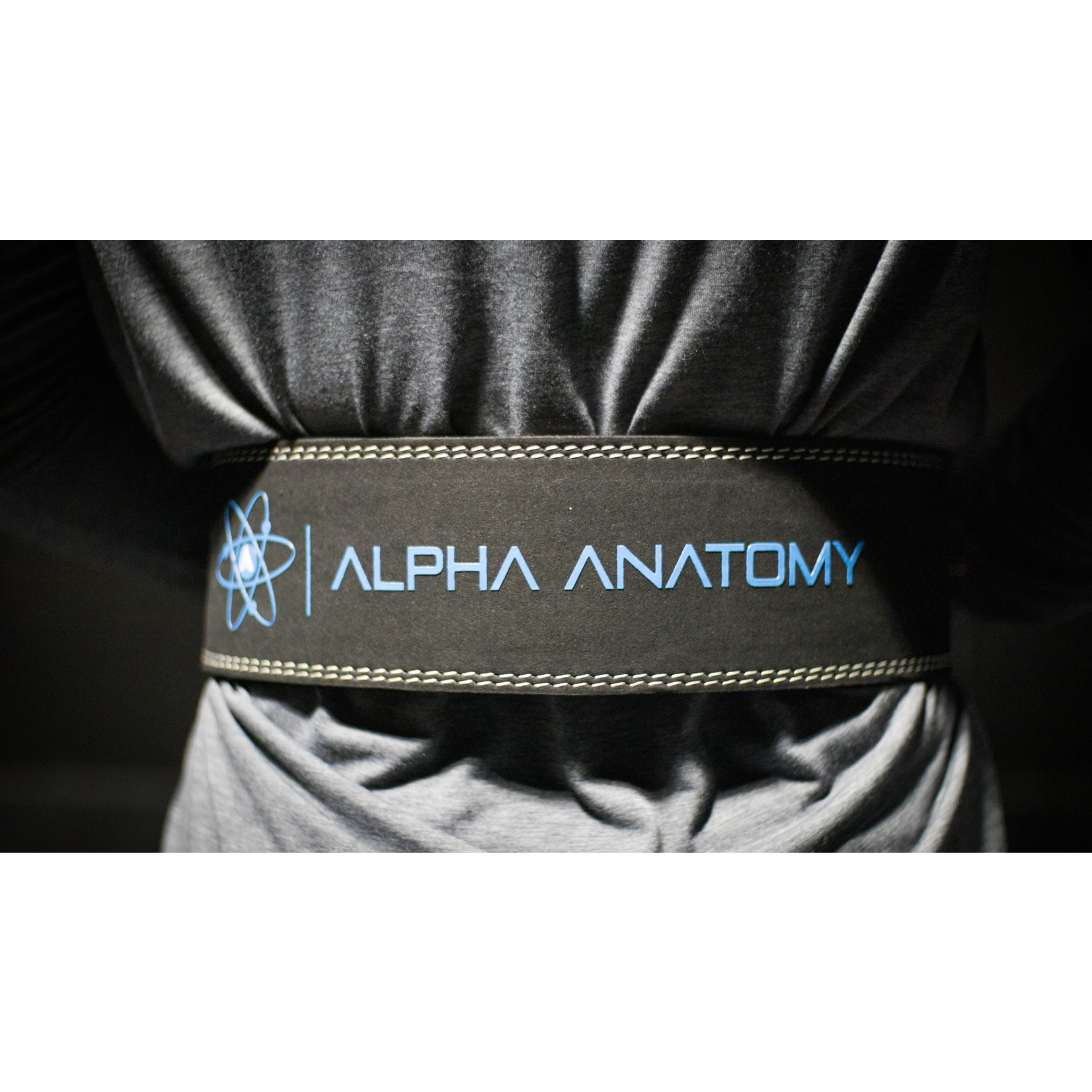 Alpha Anatomy Weightlifting Belt