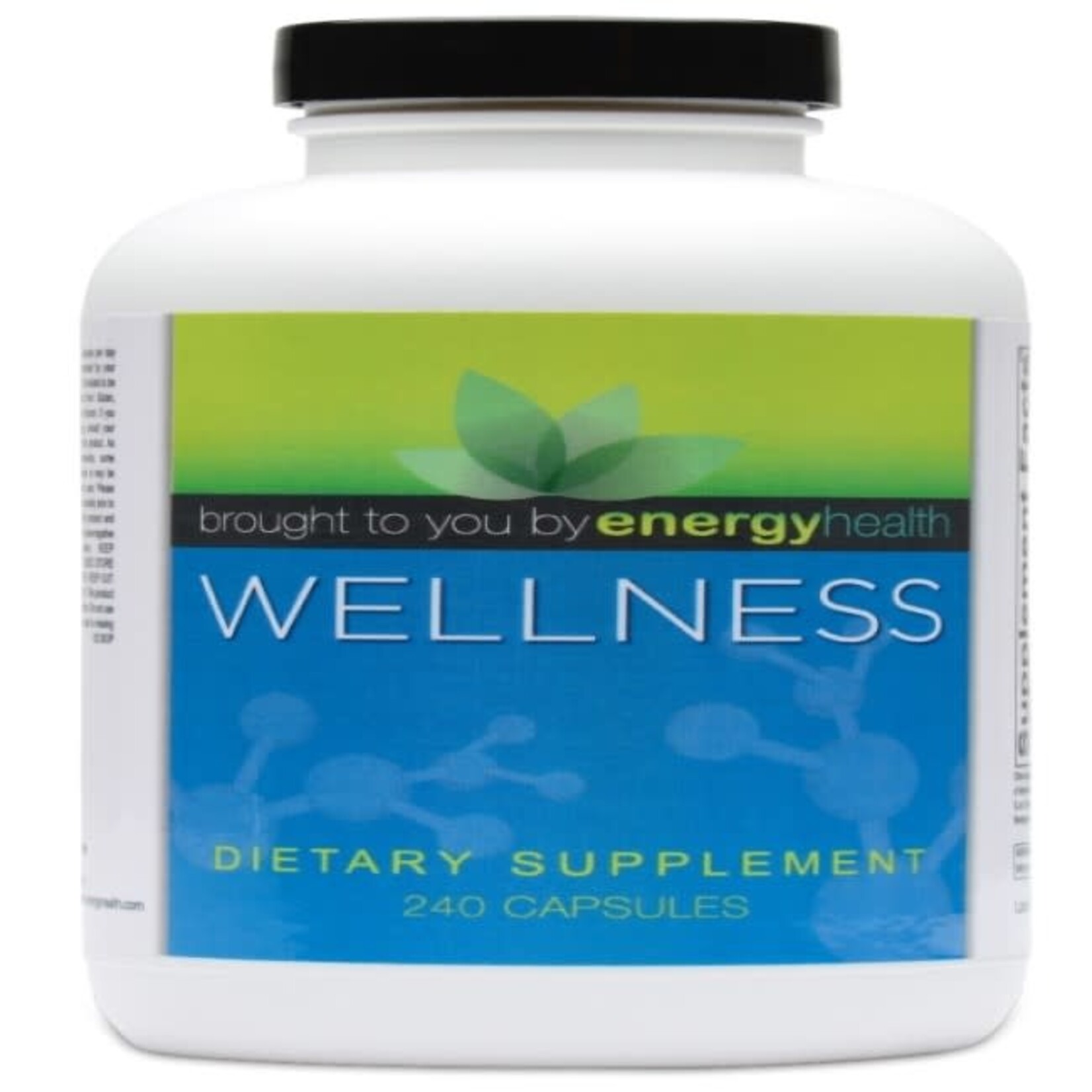 WELLNESS 240 COUNT