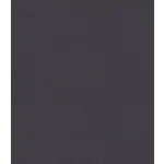 Golden Technologies Golden Lift Chair Tall Brisa Black Onyx