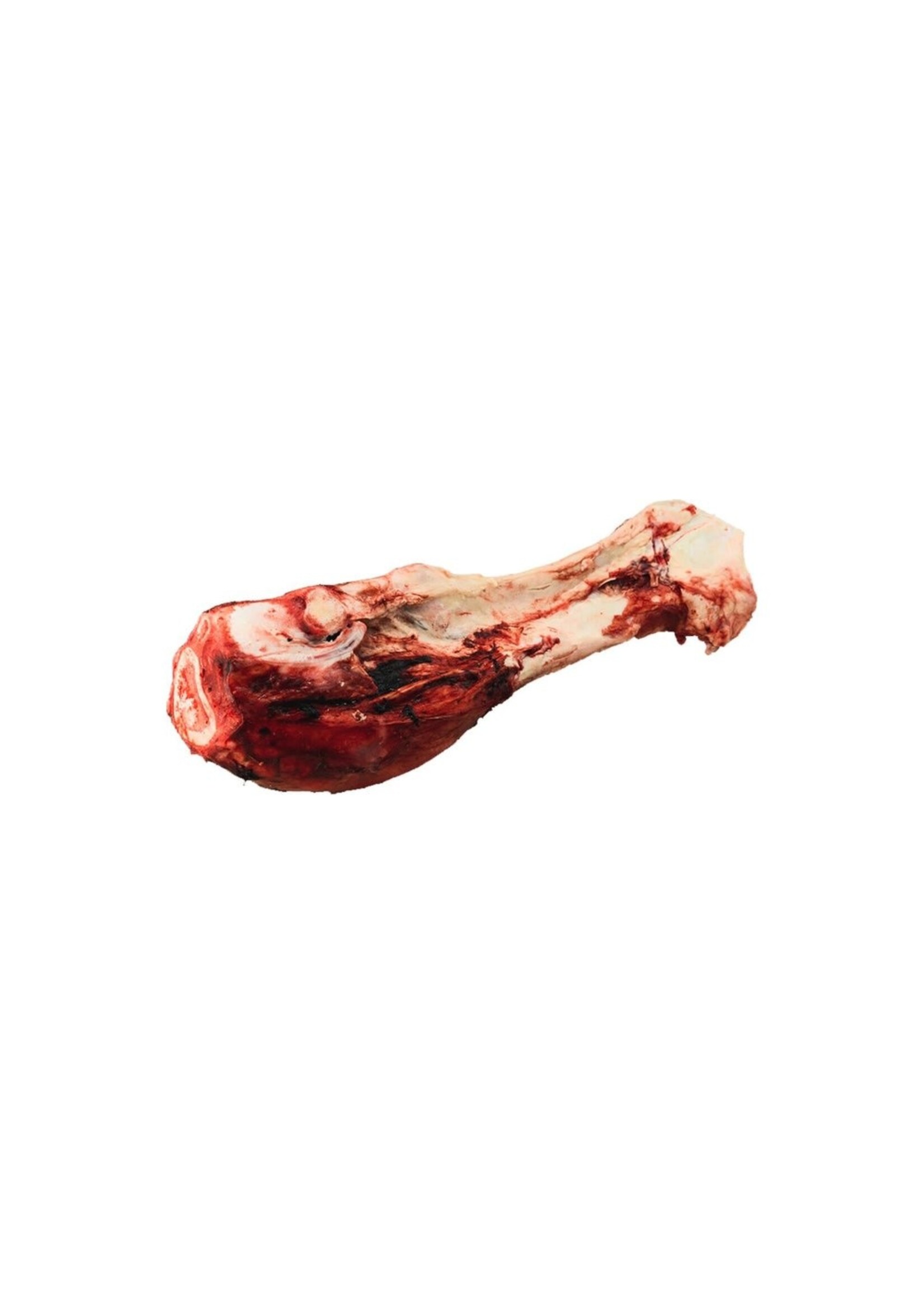 K9 Choice Foods K9 Choice Whole Dino Bone Individual