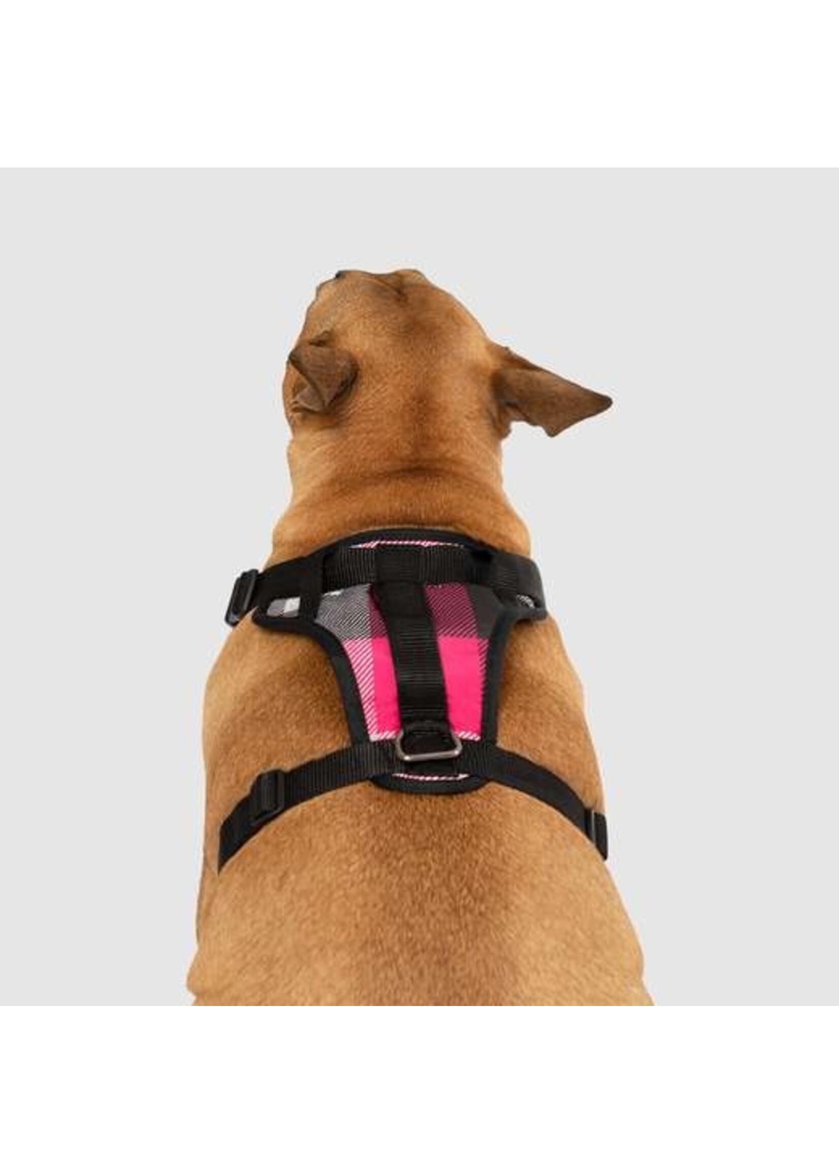 Canada Pooch Canada Pooch Everything Harness Water-Resistant Pink Plaid