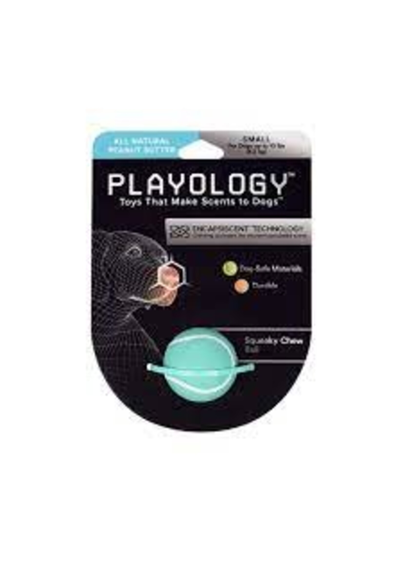 Playology Playology Squeaky Chew Ball