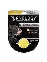 Playology Playology Squeaky Chew Ball