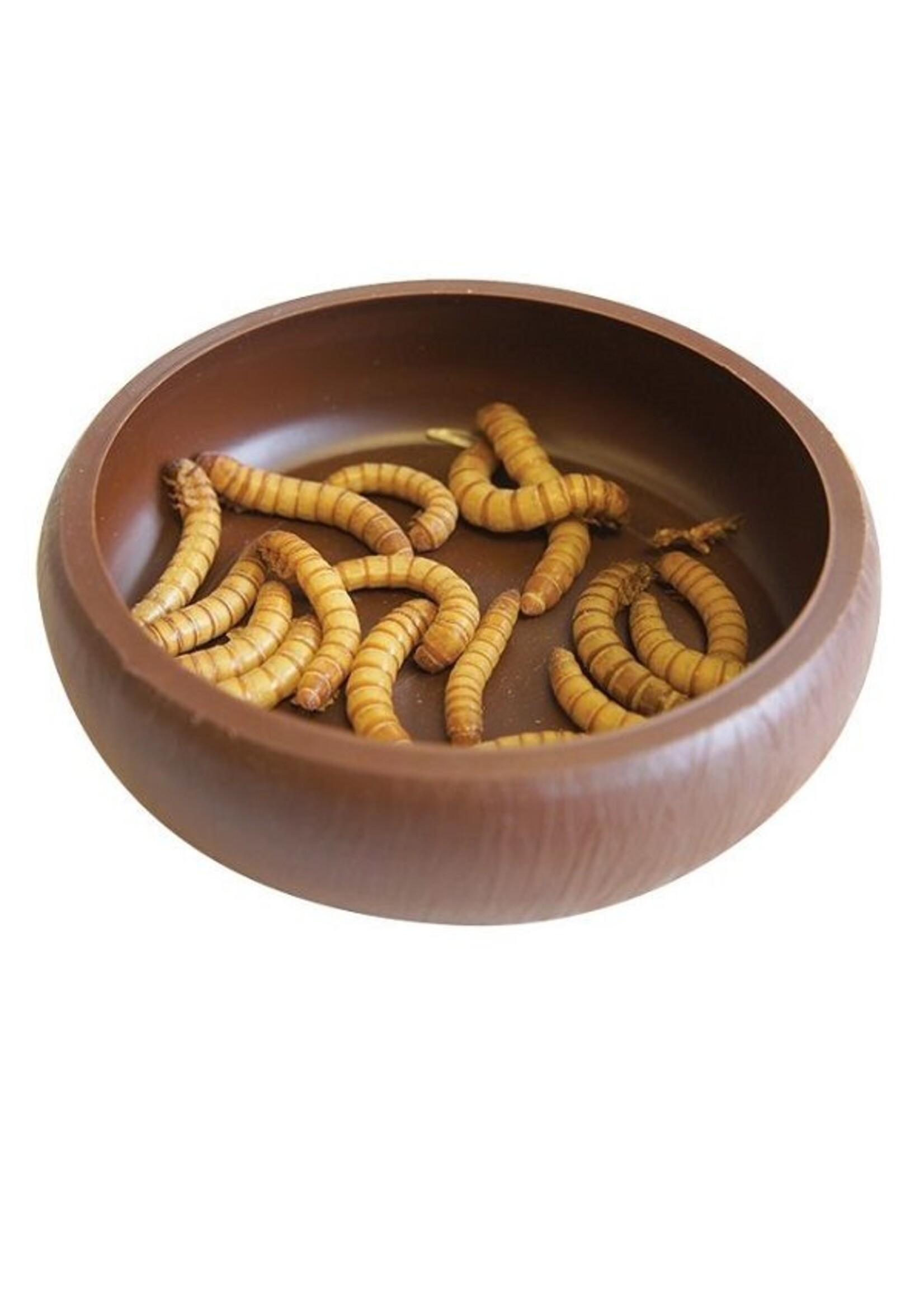 Komodo Komodo Mealworm Dish 8 x 8 x 2cm
