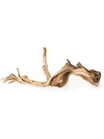Galapagos Galapagos Staghorn Wood Manzanita Root