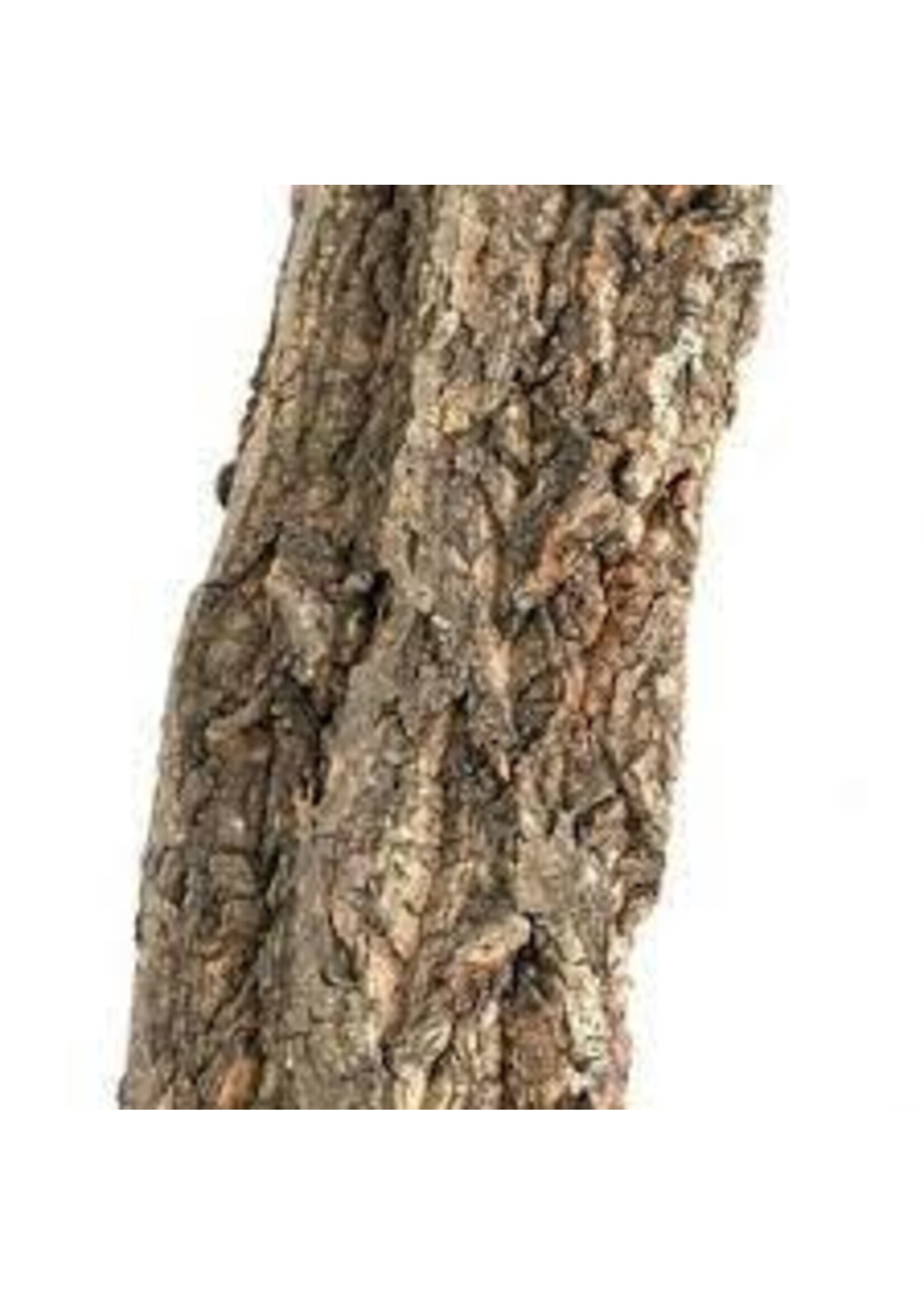 NewCal NewCal Cork Branch Thin
