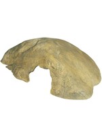 Exo Terra Exo Terra Reptile Cave Medium