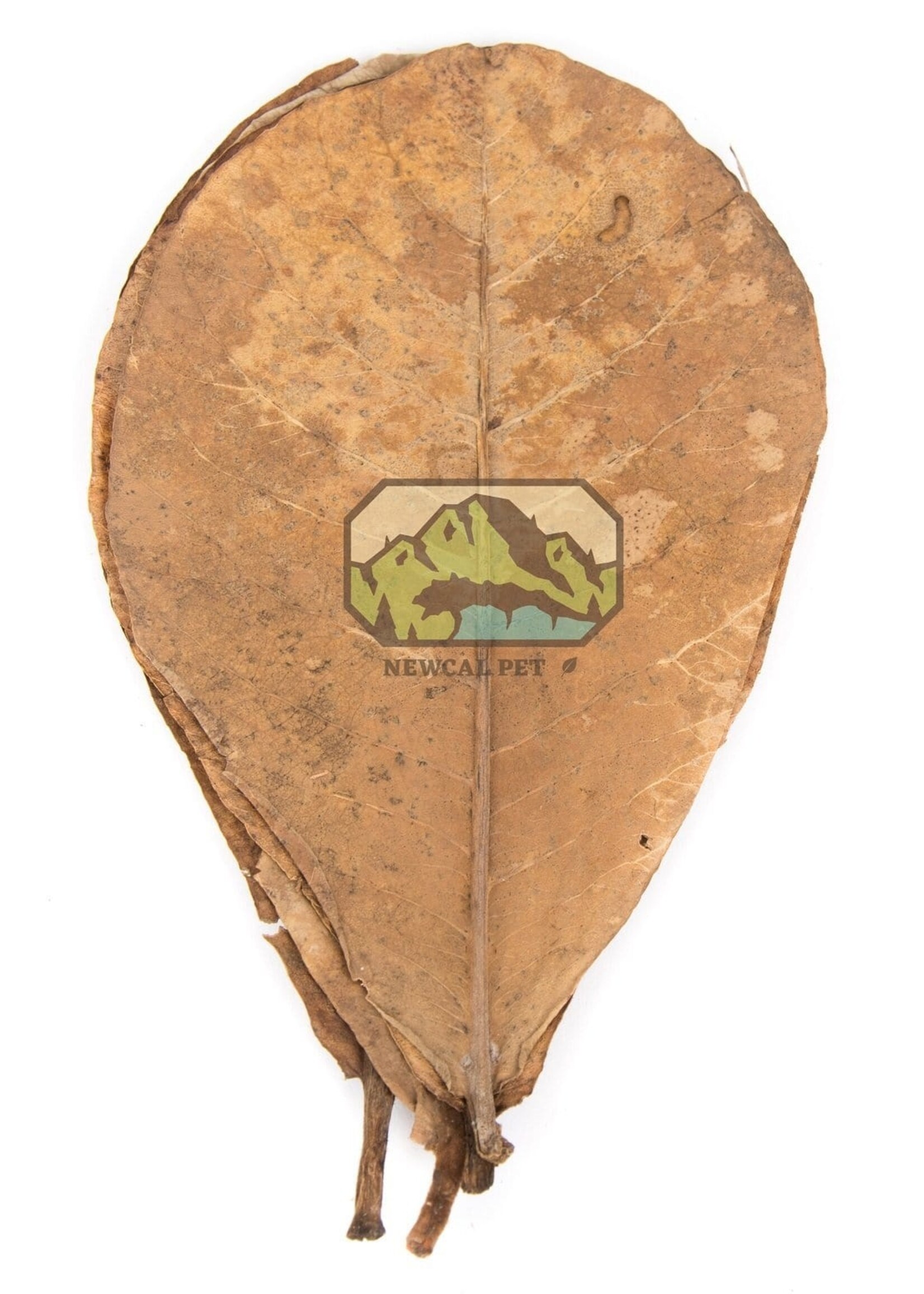 NewCal NewCal Indian Almond Grade AAA 10pack