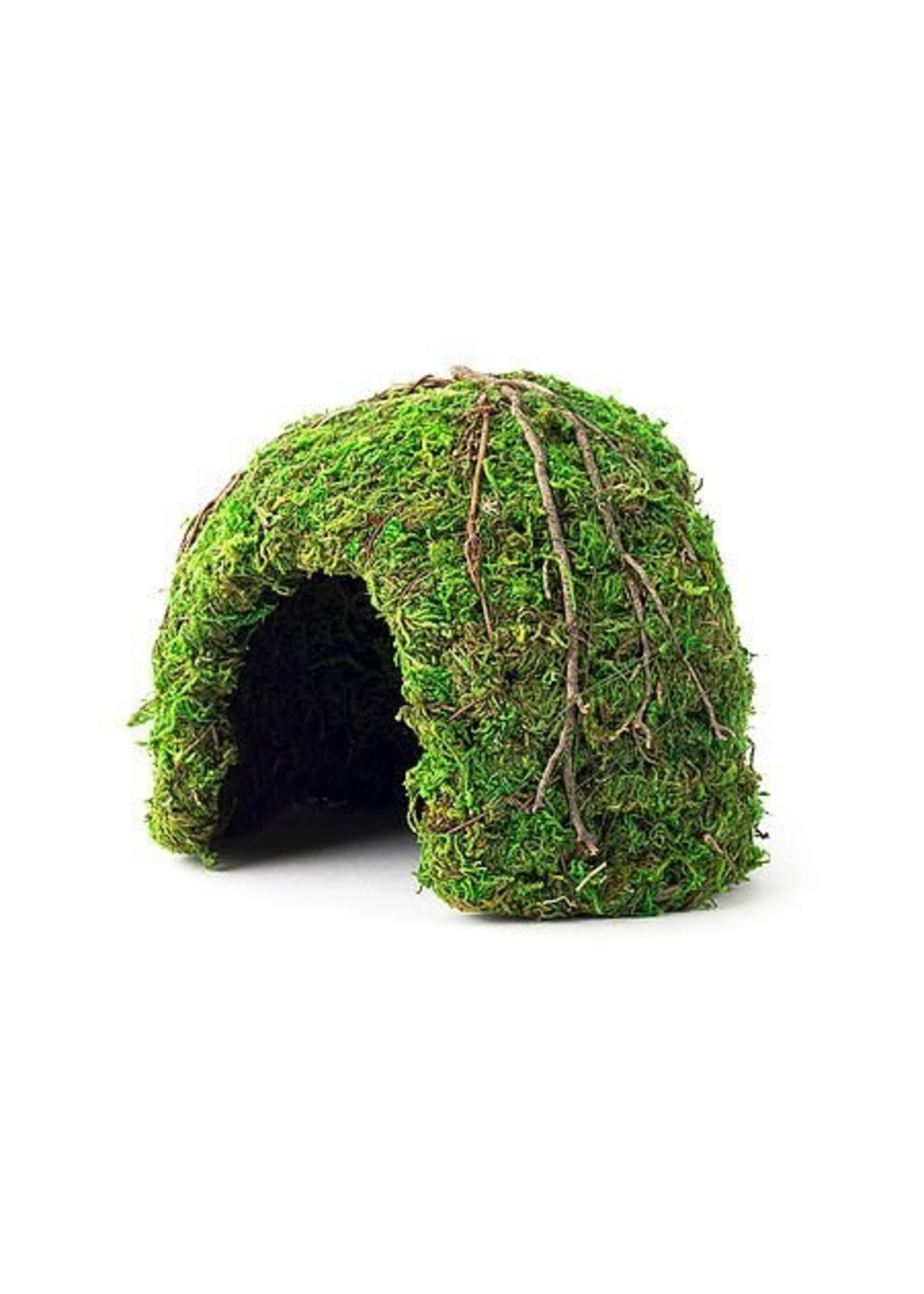 Galapagos Galapagos Mossy Dome