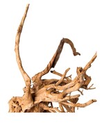 Galapagos Galapagos Spider Wood 12-24in