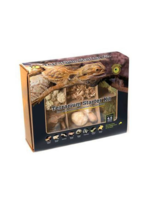Galapagos Galapagos Terrarium Starter Kit Arid Environment 4.5qt box