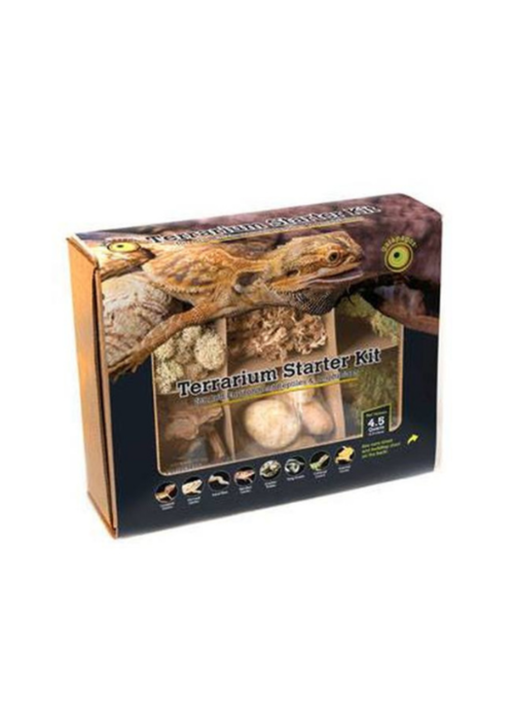 Galapagos Galapagos Terrarium Starter Kit Arid Environment 4.5qt box