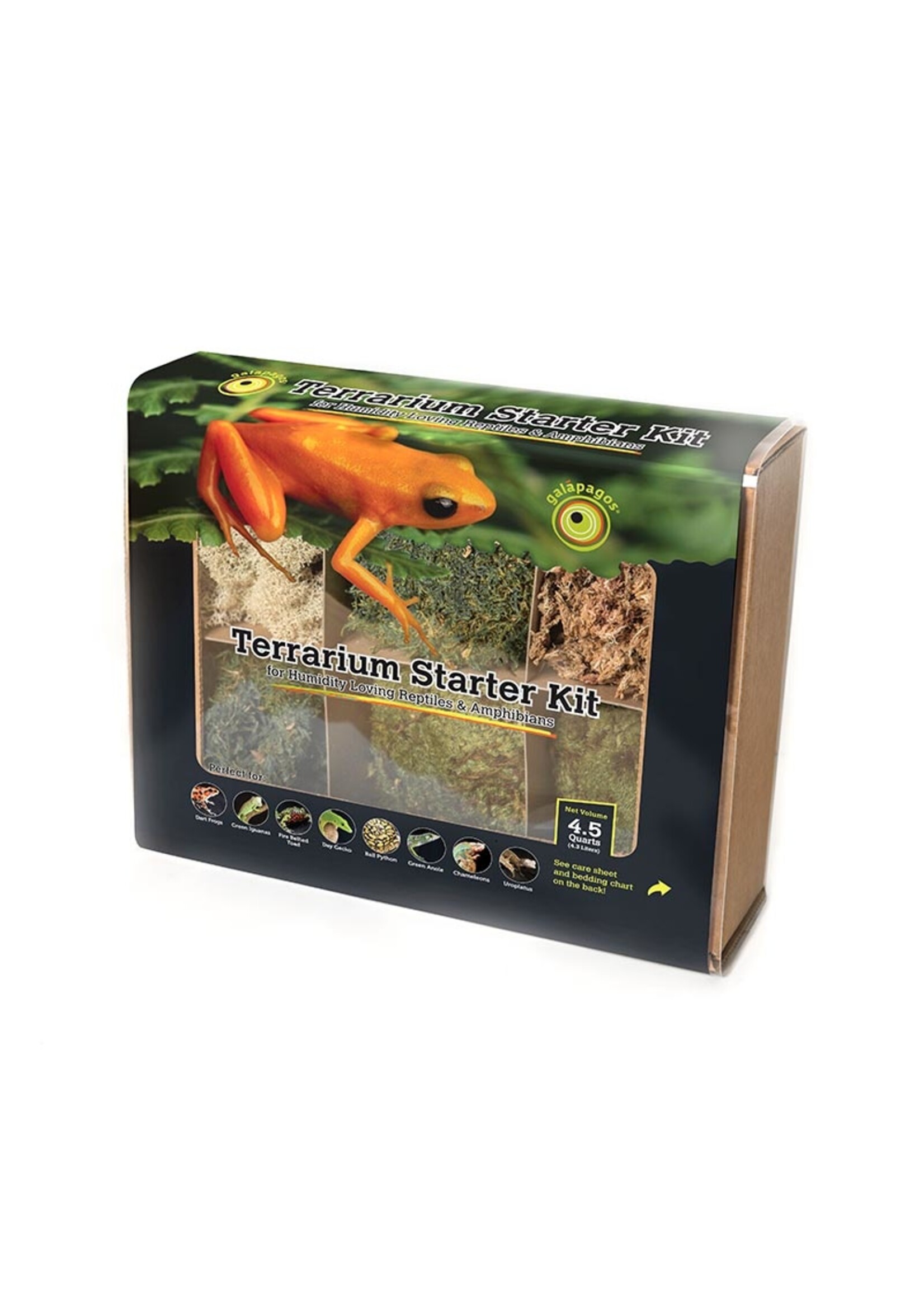 Galapagos Galapagos Terrarium Starter Kit Humid Environment 4.5qt box
