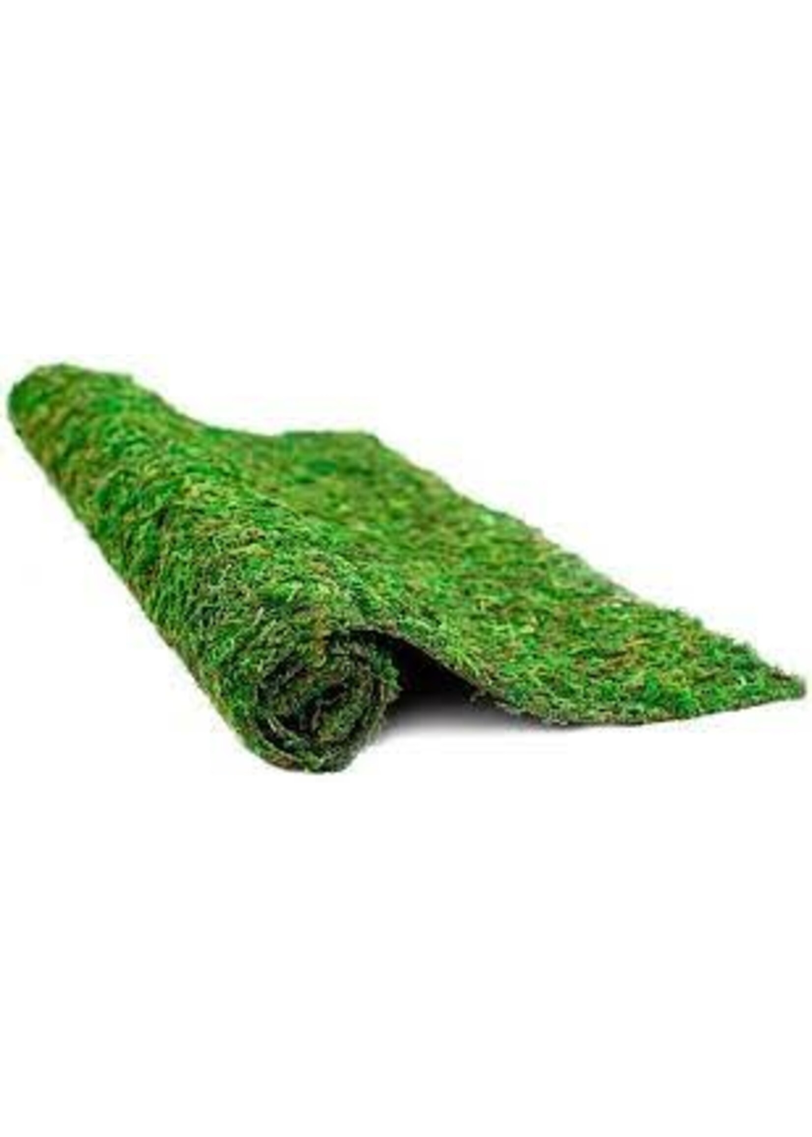 Galapagos Galapagos Crash Pad Terrarium Liner 18 x 36in