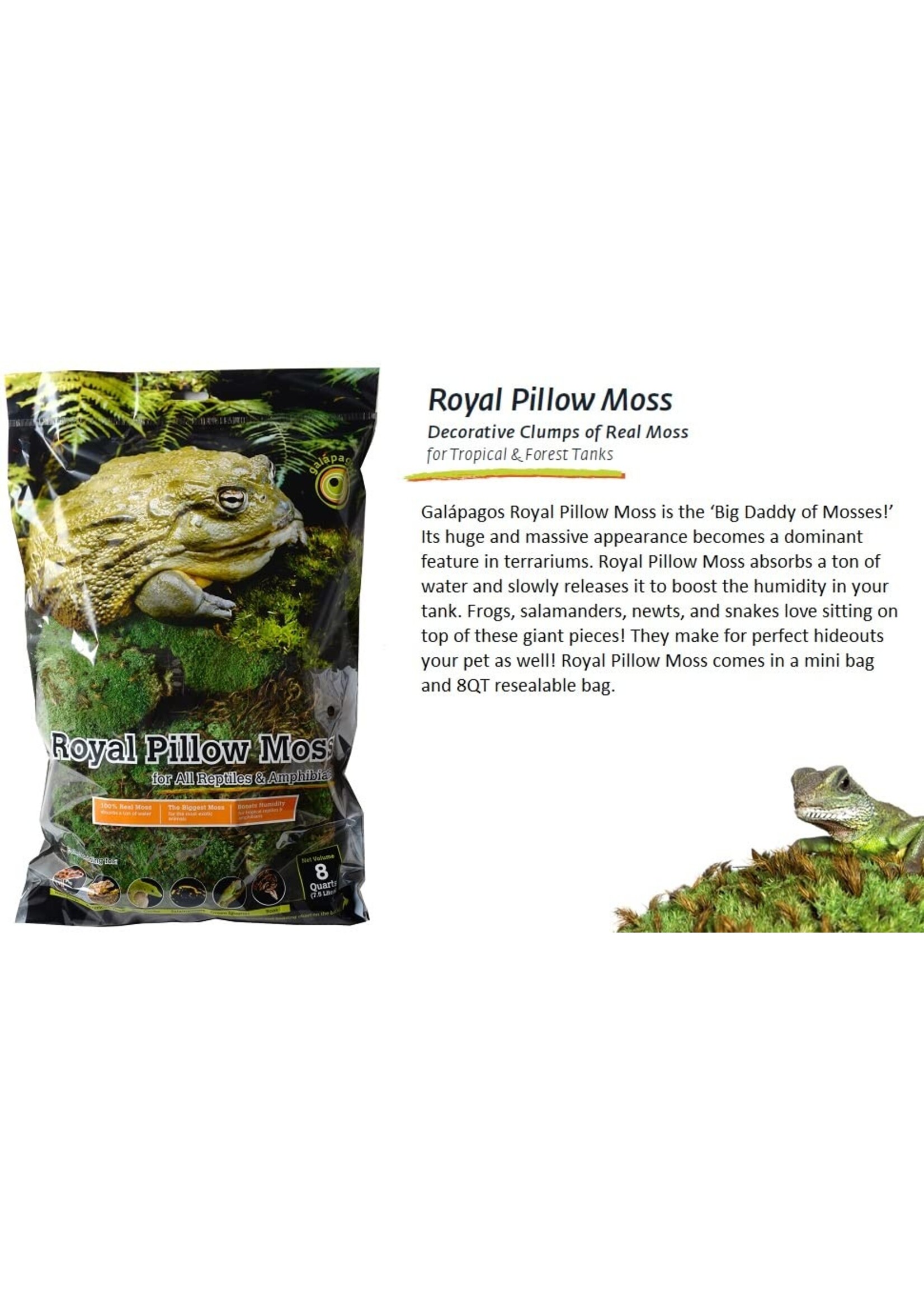 Royal Pillow Moss