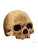 Exo Terra Exo Terra Primate Skull PT2855