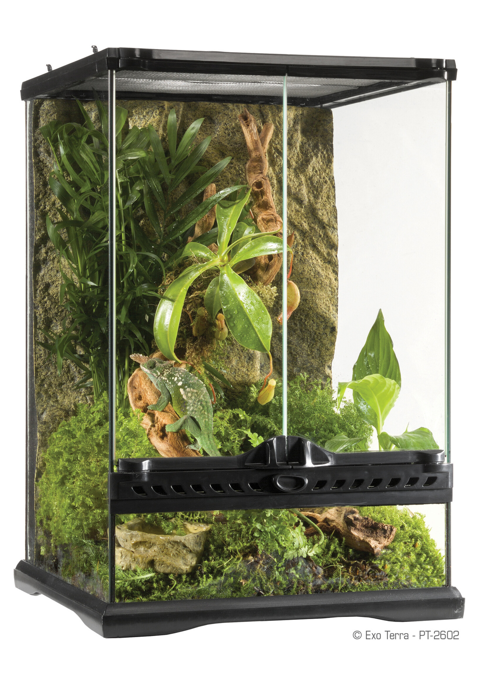 Exo Terra Advanced Paludarium & Rainforest Terrarium The Lloydminster