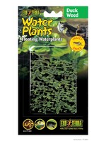 Exo Terra Exo Terra Floating Water Plant Duck Weed PT3061