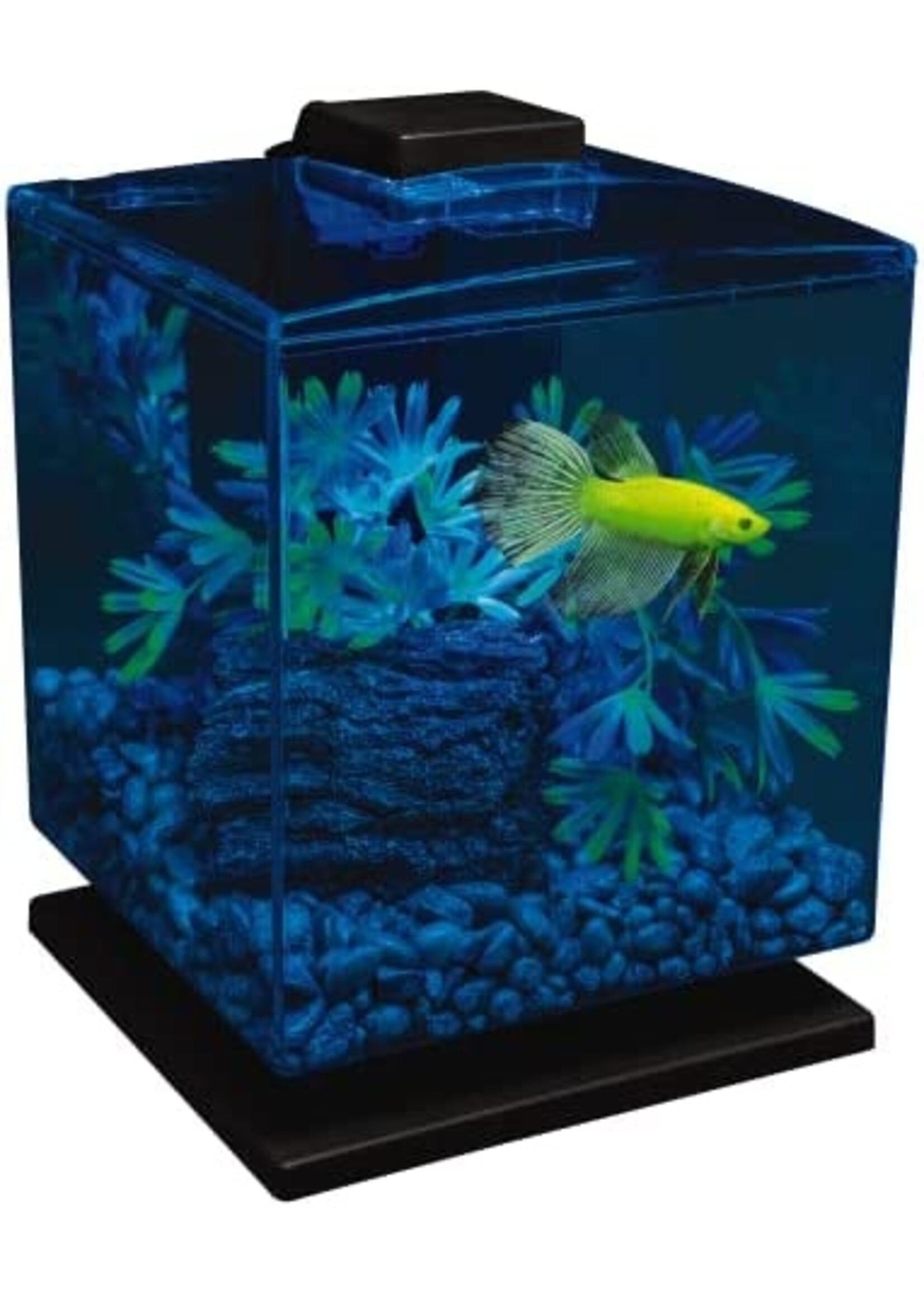 GloFish® Betta Aquarium Kit 3 gallon
