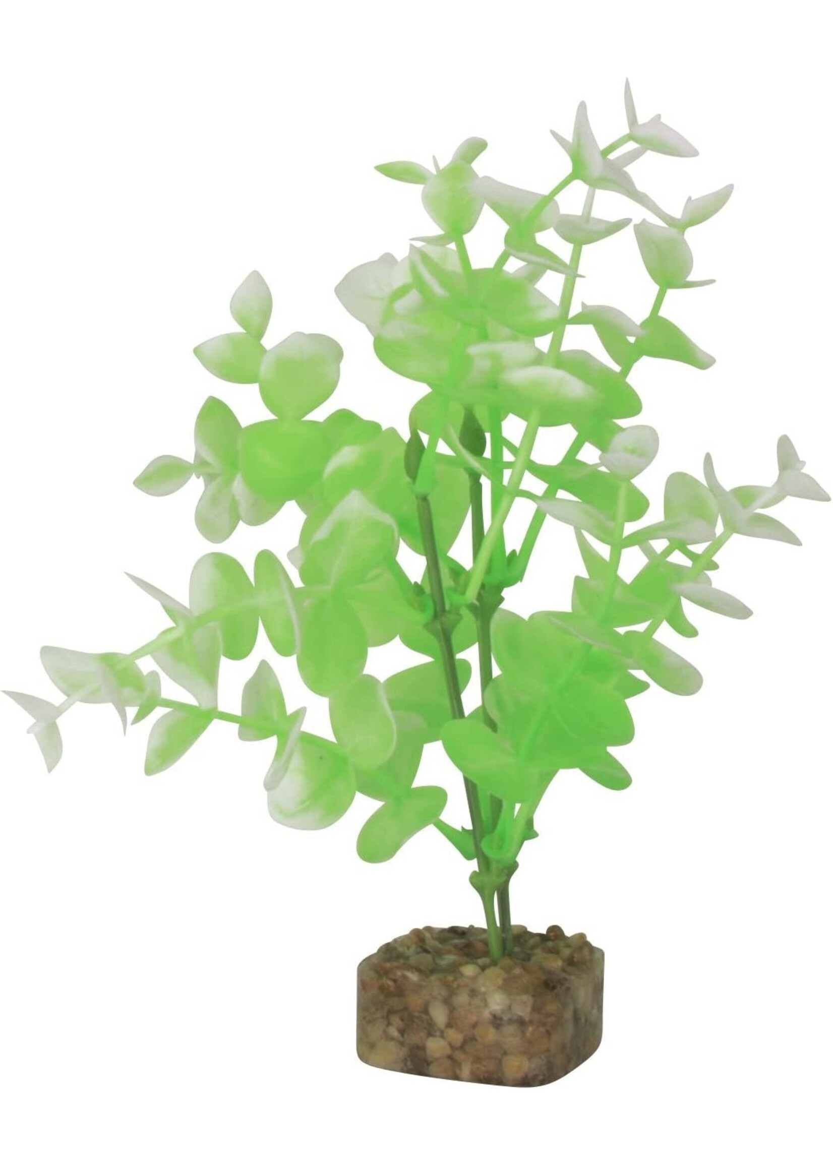 Tetra Tetra GloFish Plant Medium