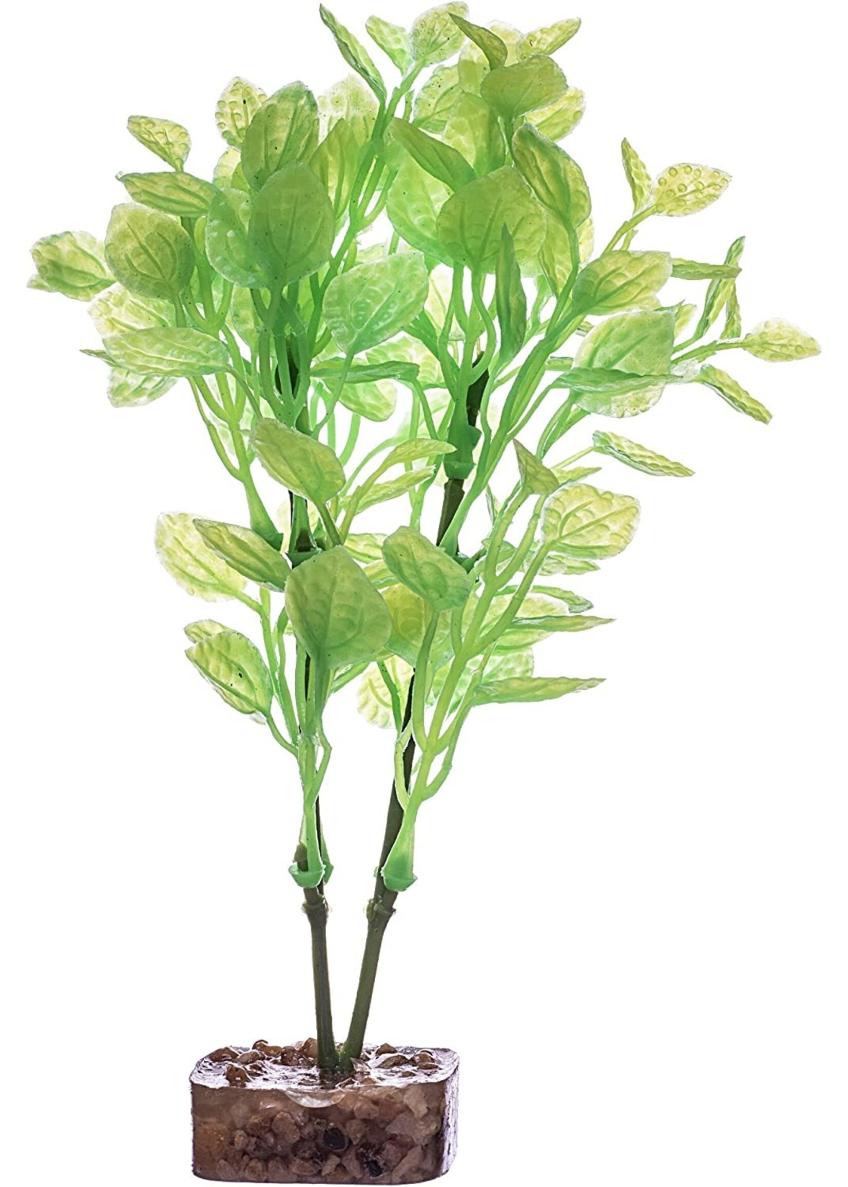 Tetra Tetra GloFish Plant Medium