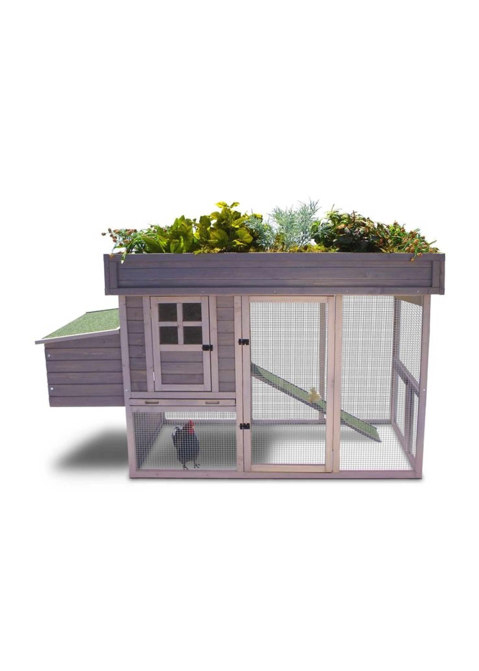 Precision Pet Products Precision Chicken Coop Hen House Garden Top