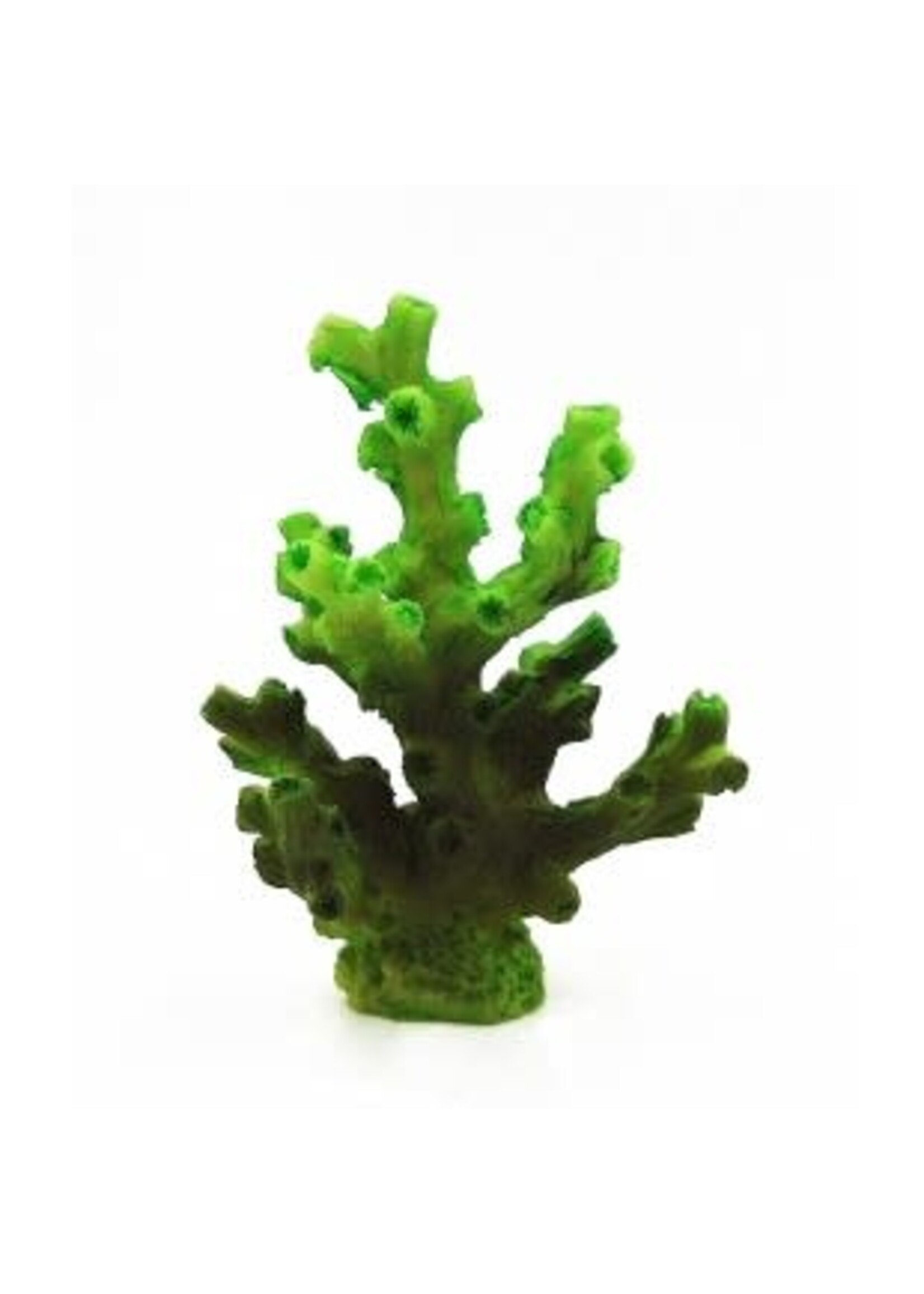 Aqua-Fit Aqua-Fit Branching Coral 2.75 x 1.5 x 2.75"