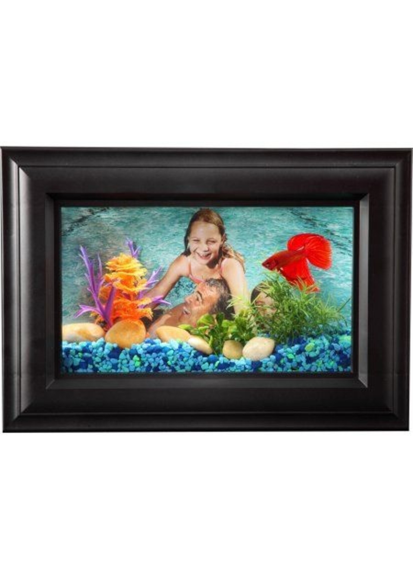 API API Betta Kit .7gallon Picture Frame LED